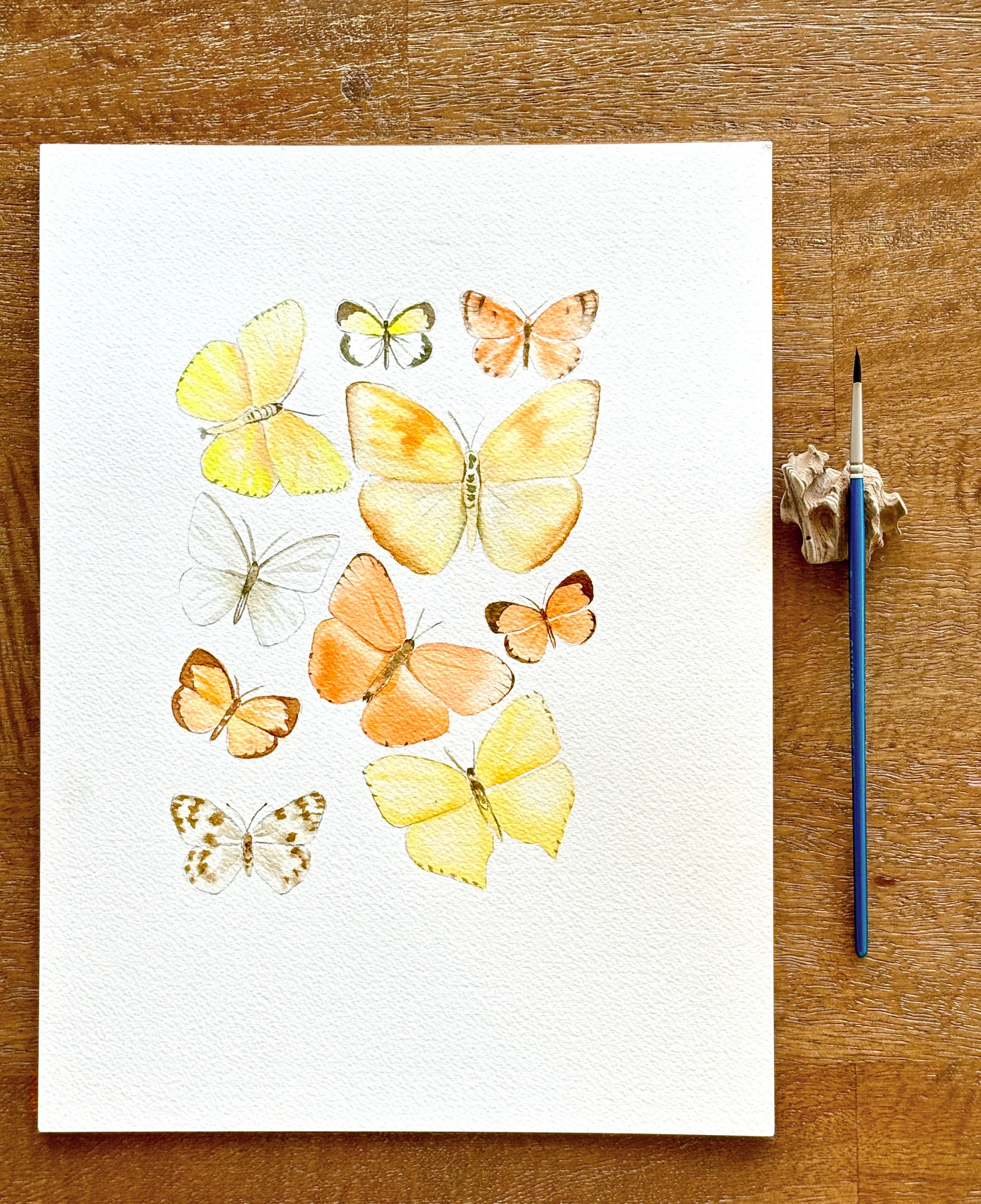 Watercolour Workshop - Warm Colour Butterflies