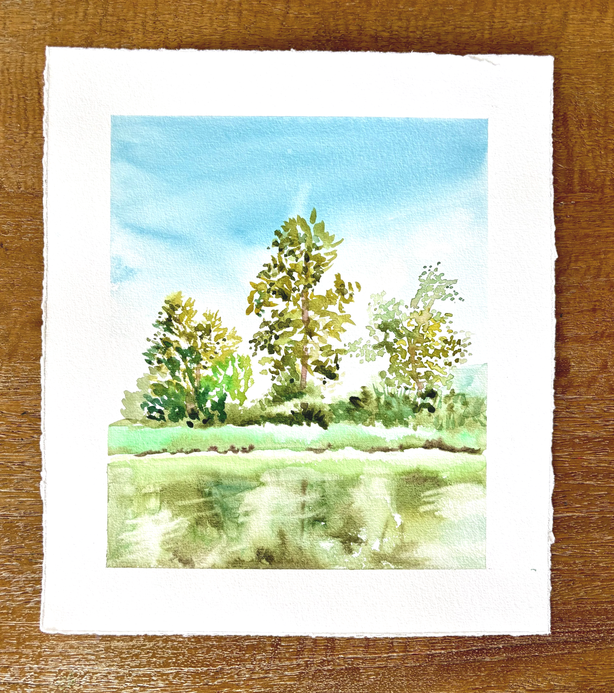 Watercolour Workshop - Alouette River Lansdcape