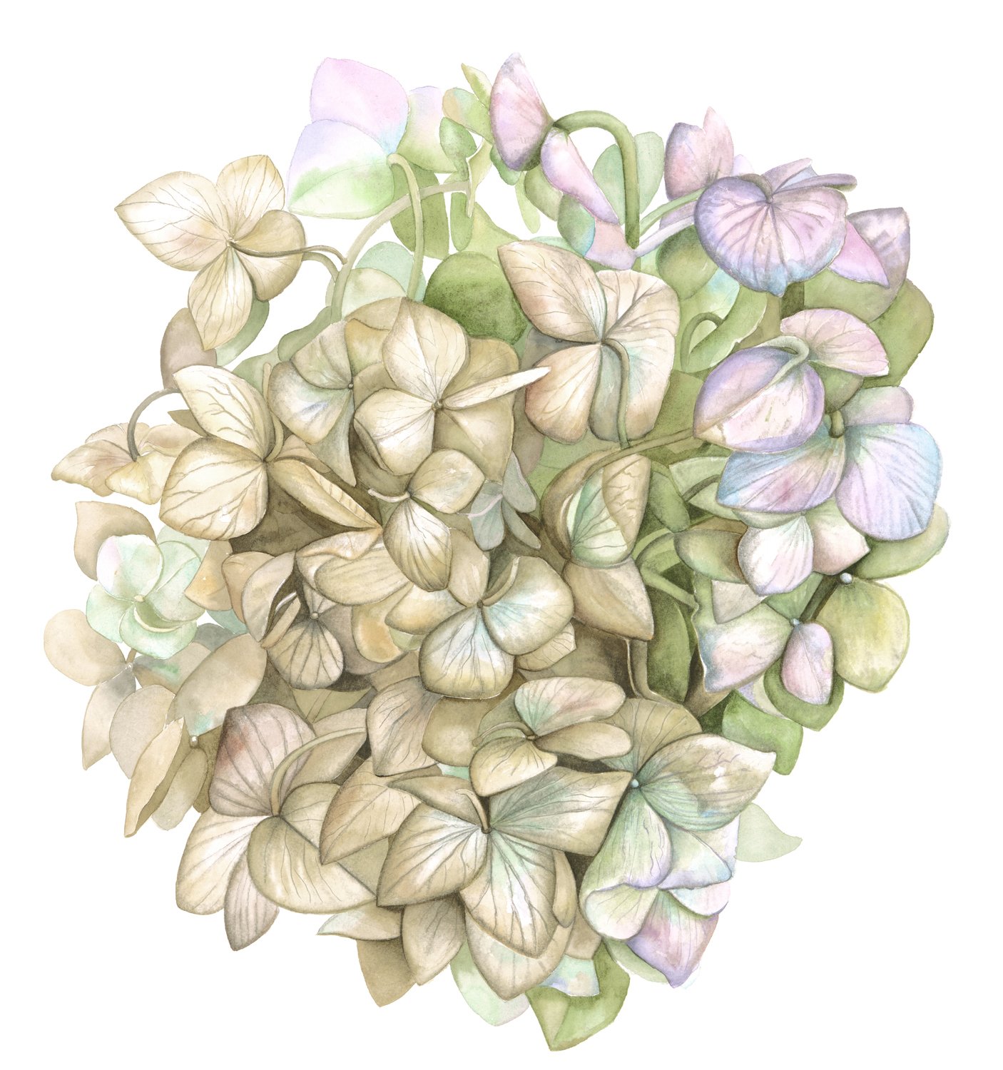 Let me hold you - Archival Print