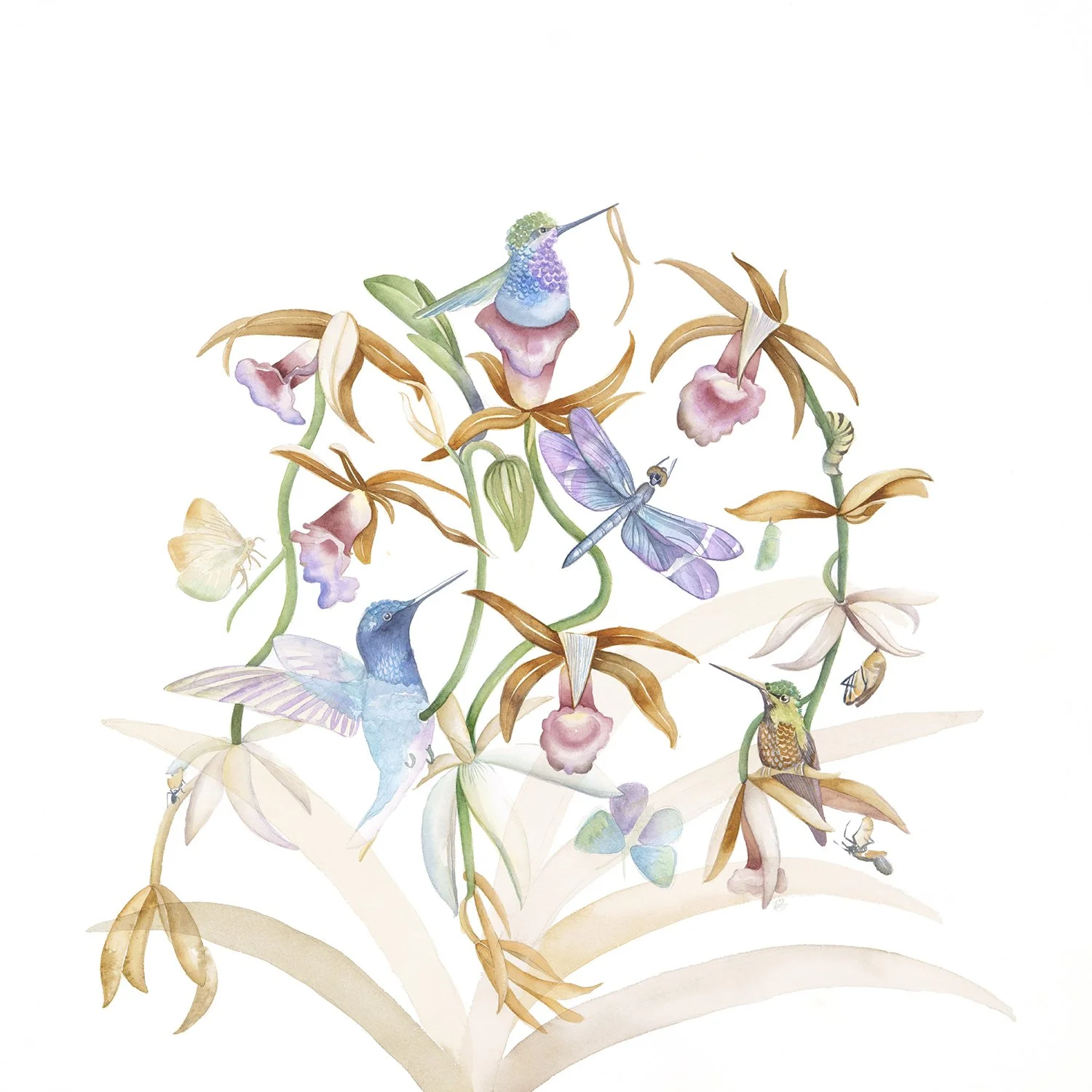 Walk in the Forest - Archival Print