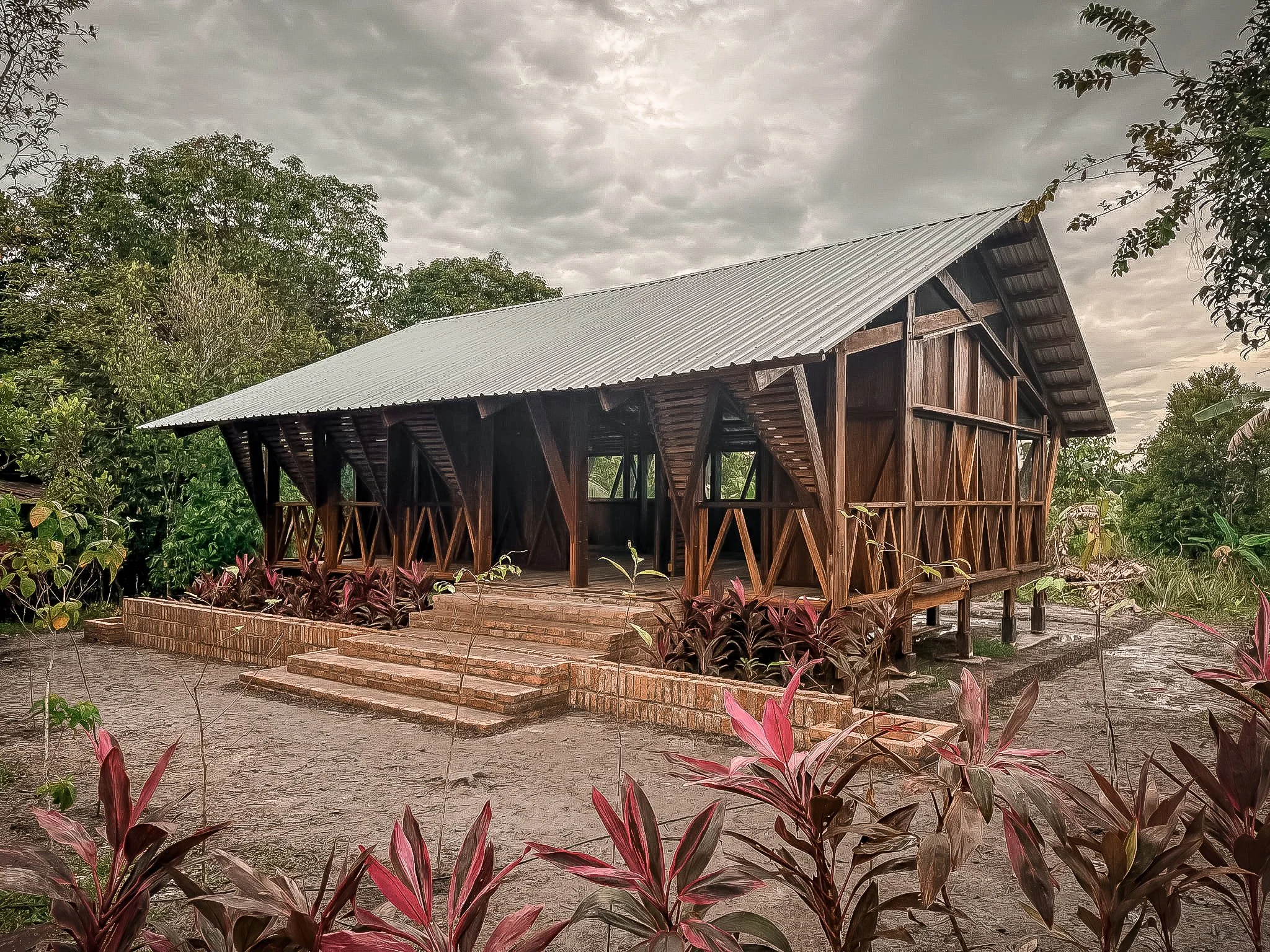 Jerumbun Aula . Borneo