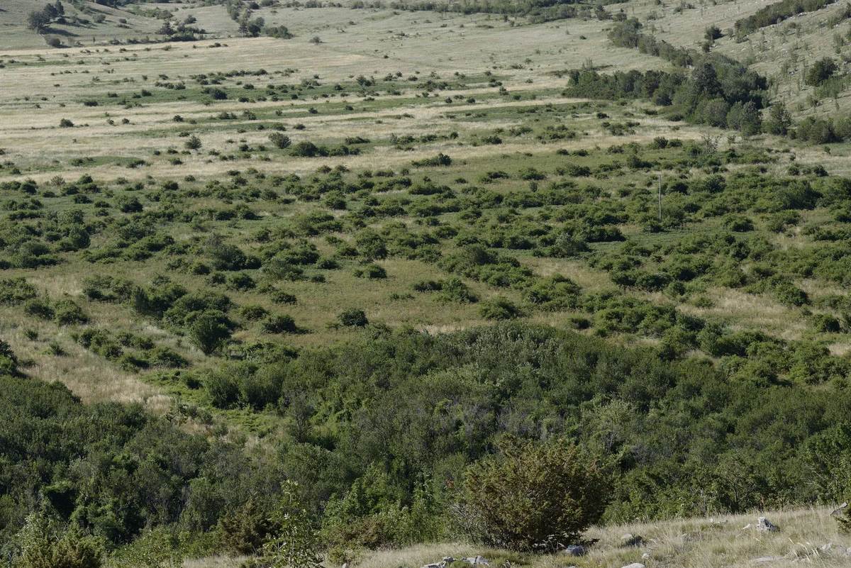 Abandoned landscapes in the Velebit mountains, Croatia. Image: Staffan Widstrand, Rewilding Europe.