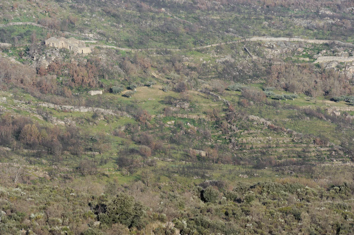 Abandoned landscapes in the Faia Brava Reserve, Portugal. Image: Staffan Widstrand, Rewilding Europe.