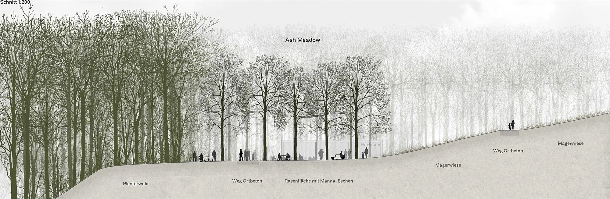 Mittelholzer Square und Ash Meadow Der Mittelholzer Square und die Ash Meadow sind zwei belebte Orte entlang der Achse vom Circle zur Haltestelle Fracht. Der Mittelholzer Square bildet das neue Zentrum im Park. Das Parkcafé belebt den Platz und bildet von der Haltestelle Fracht herkommend den Auftakt zum Park. Auf dem Mittelholzer Square und im Café können Events und Veranstaltungen stattfinden. Vom sonnigen Platz aus sieht man über den Teich und die sporadisch gemähte Liegewiese hinweg zum Gebäude. Auf dem Weg vom Parkcafé zum Gebäude führt der Weg durch die Ash Meadow. Diese hainartige Struktur aus Eschen ist wie der Mittelholzer Square ein belebter Ort mit Sitzbänken und Tischen. Die Rasenfläche unter den Bäumen ermöglicht eine intensive Nutzung als Spiel- und Liegefläche. Hier spielen die Kinder auf dem Spielplatz unter den Bäumen, während sich die Eltern im Parkcafé oder auf den Bänken im Hain erholen können.