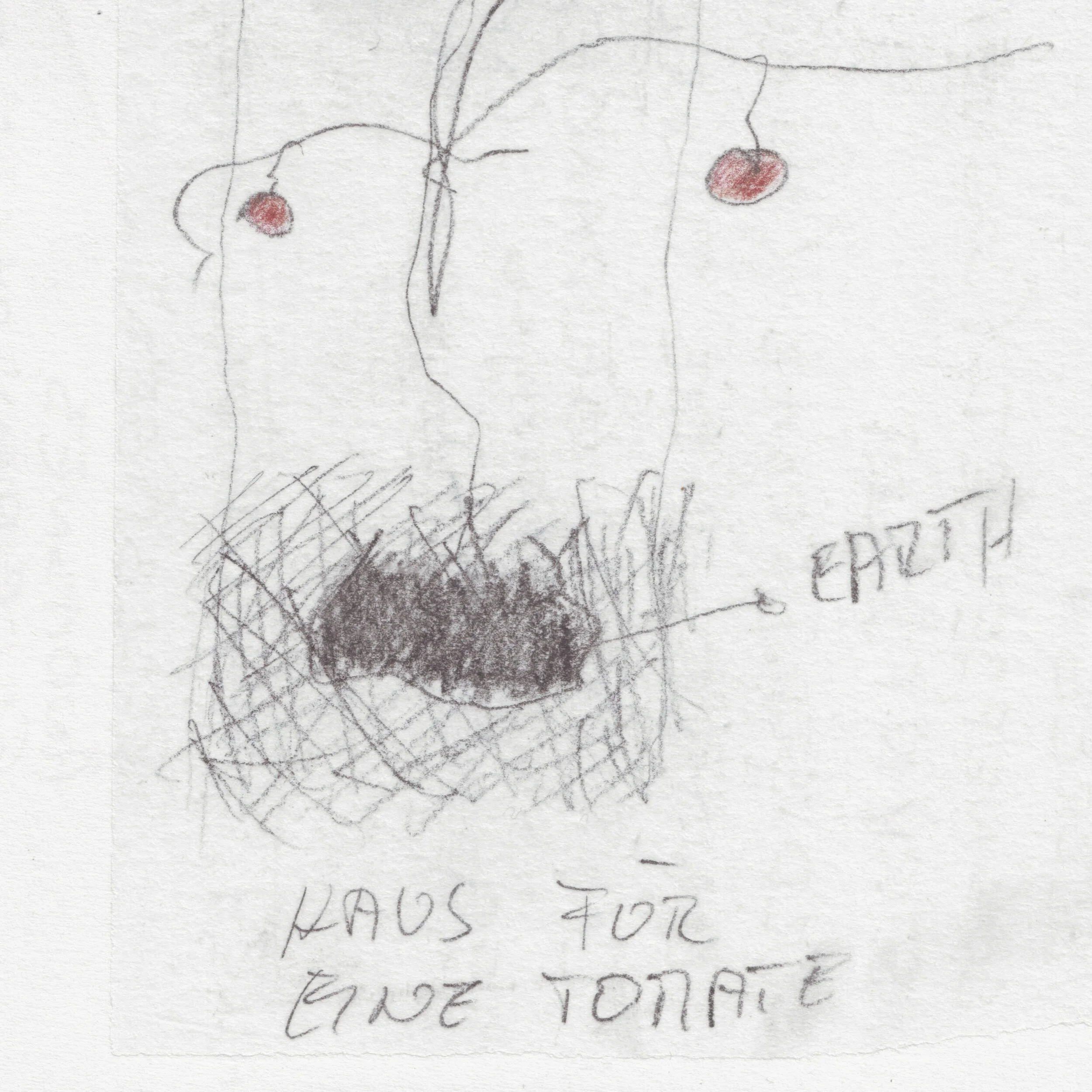 maki-ortner-Haus-für-eine-Tomate-Coverpic HP.jpg