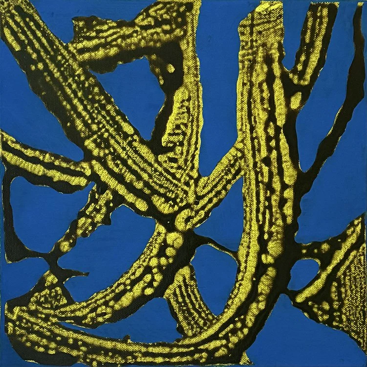 Study for Variations, 2026