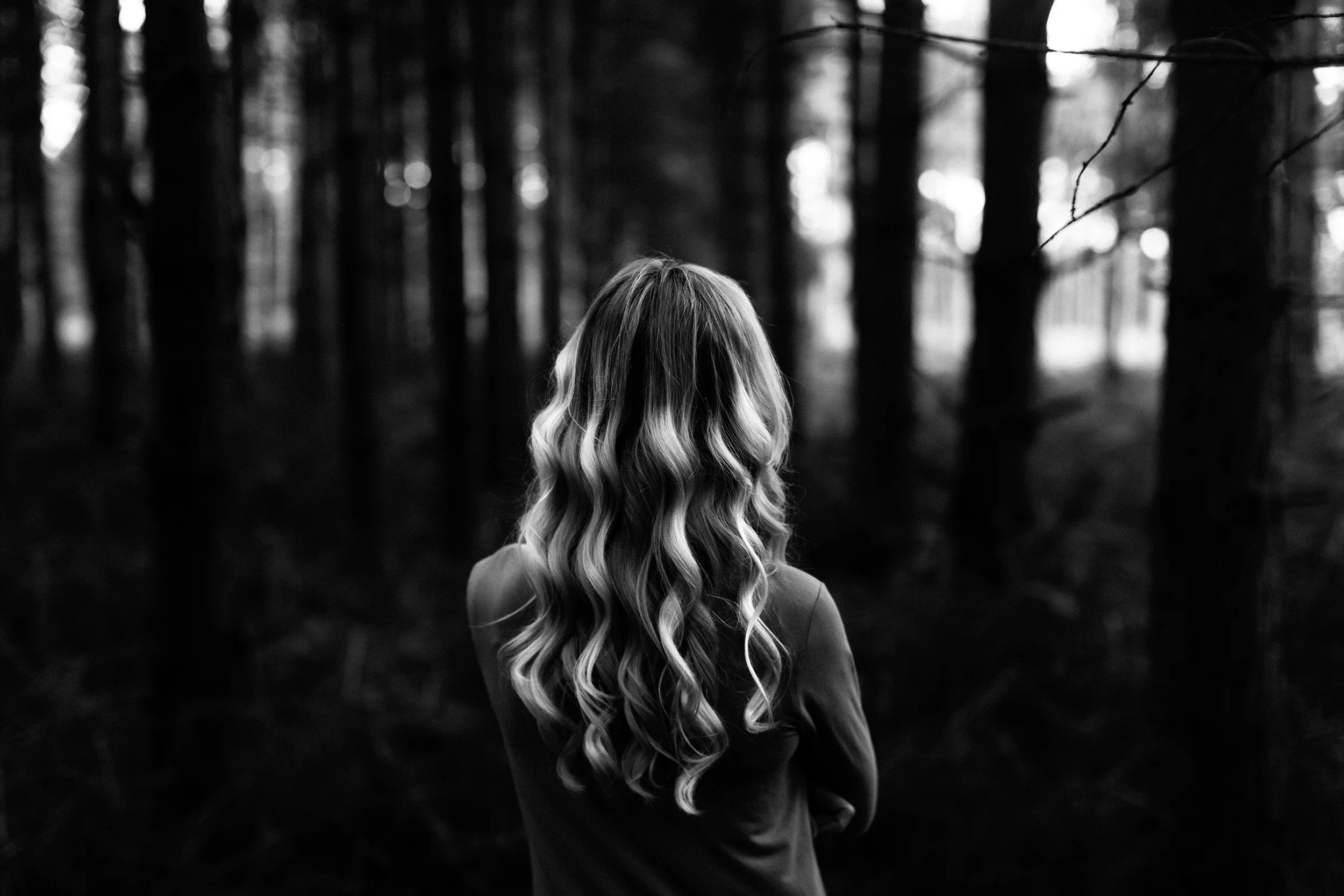 Thetford Forest - Matt Porteous