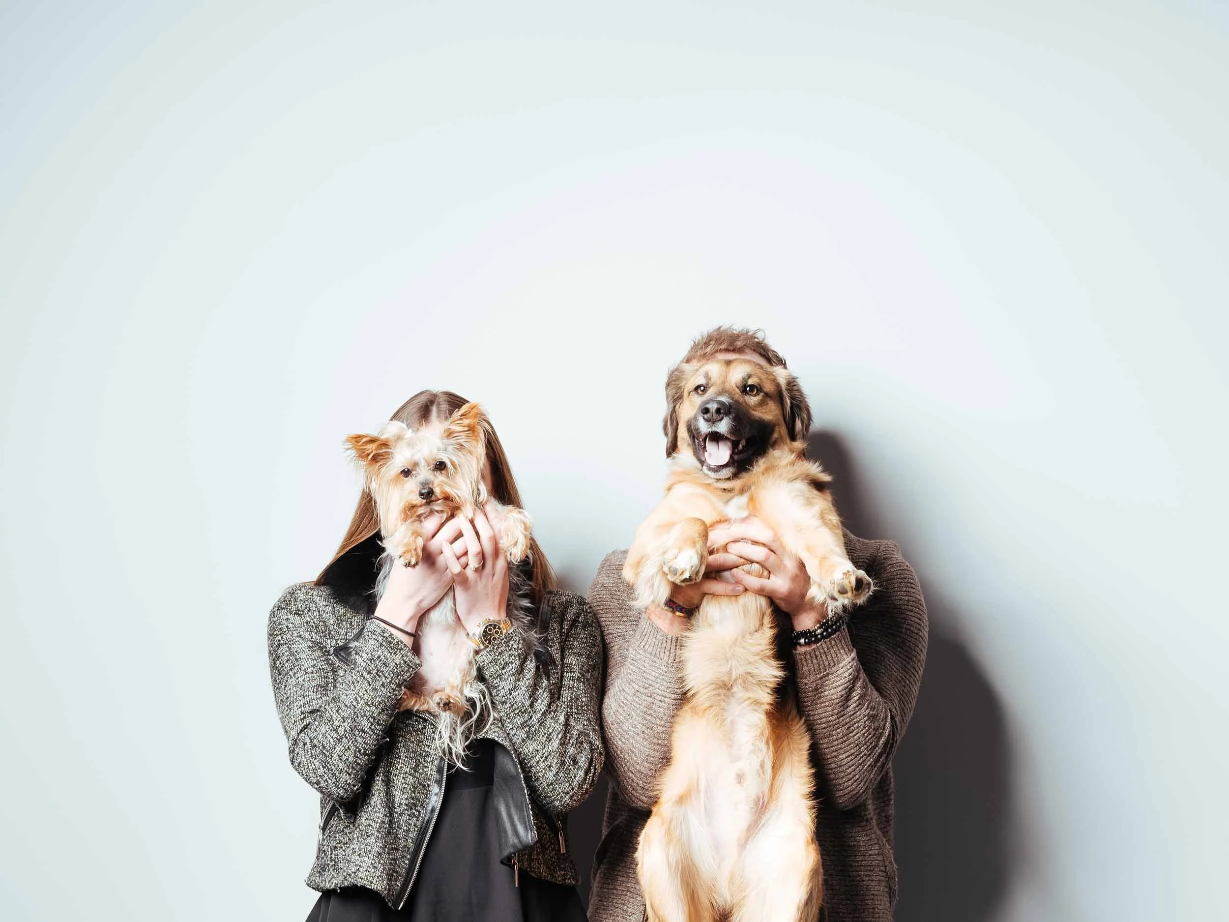 12.01---Dogs-Life_0025_9825.jpg