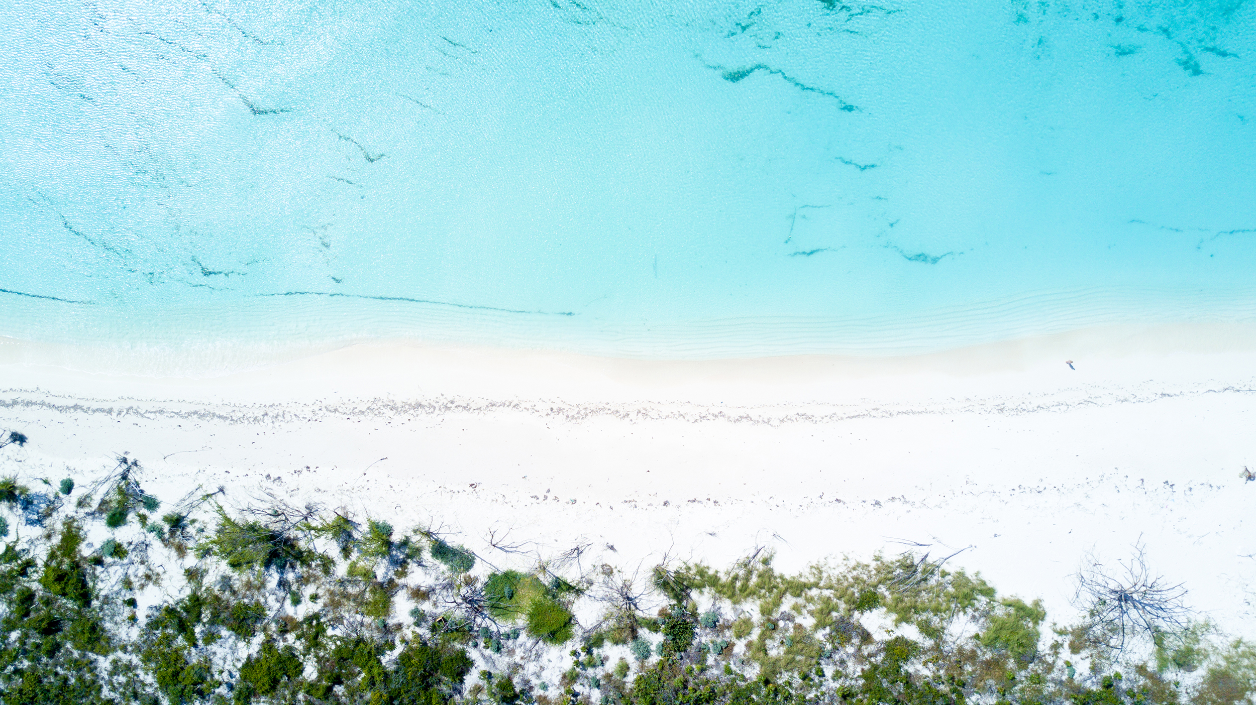 Aerial_Vision_0008_.jpg