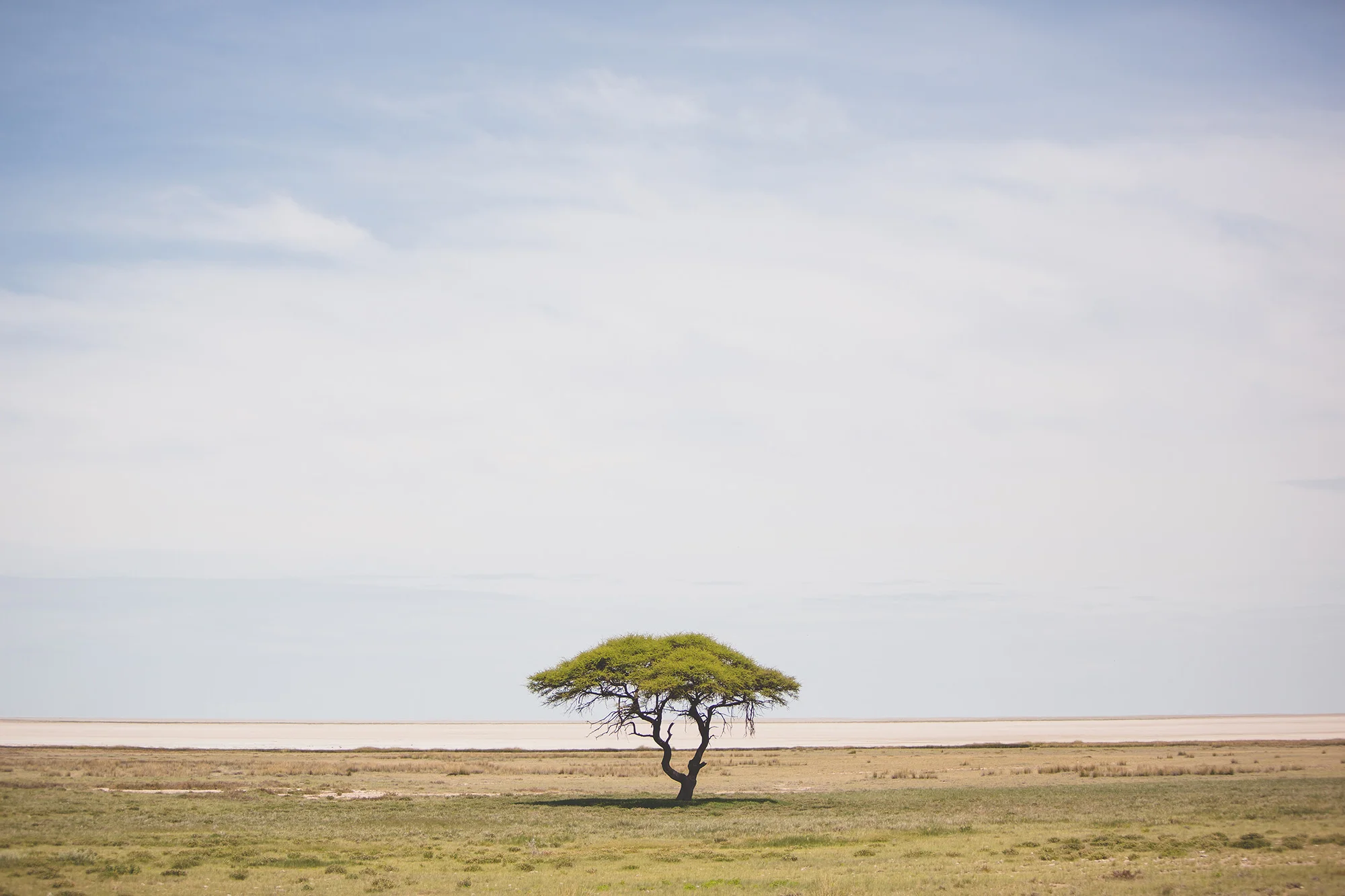 0006_Namibia_13061.jpg