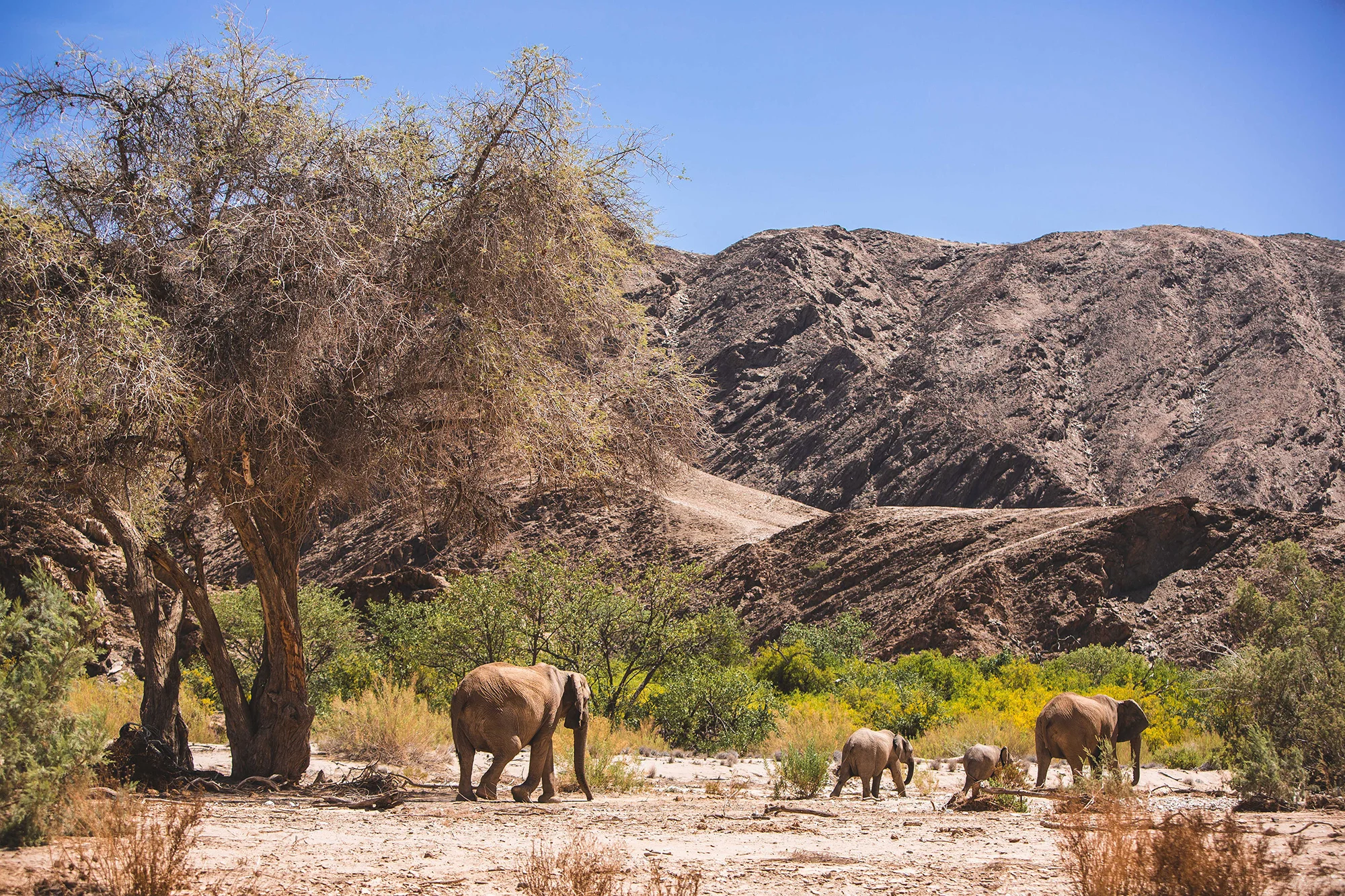0021_Namibia_3770.jpg