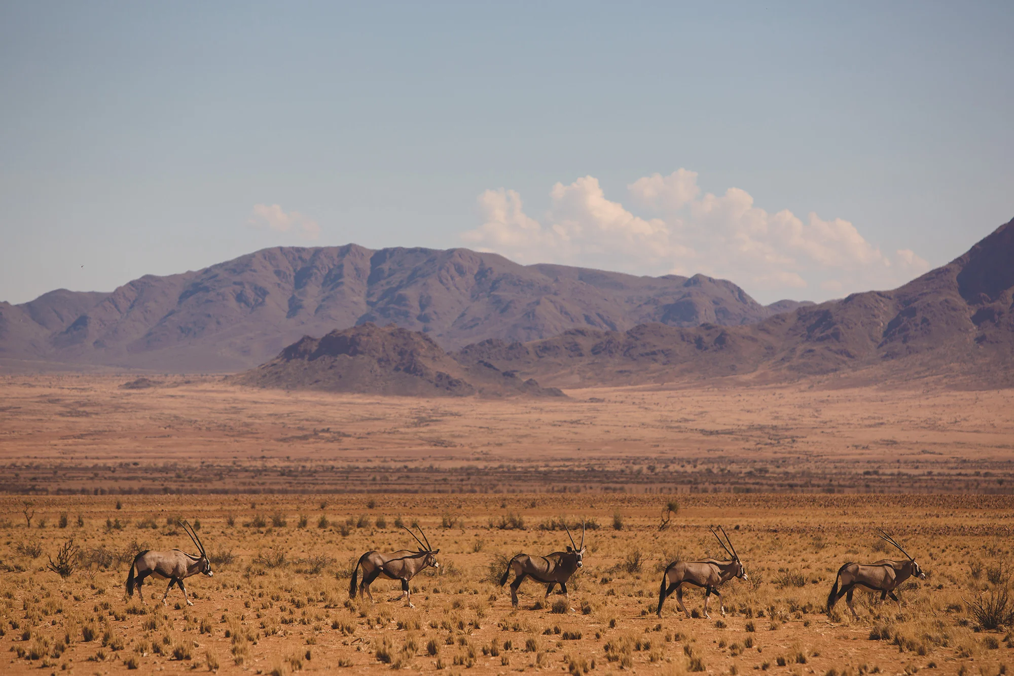0030_Namibia_2642.jpg