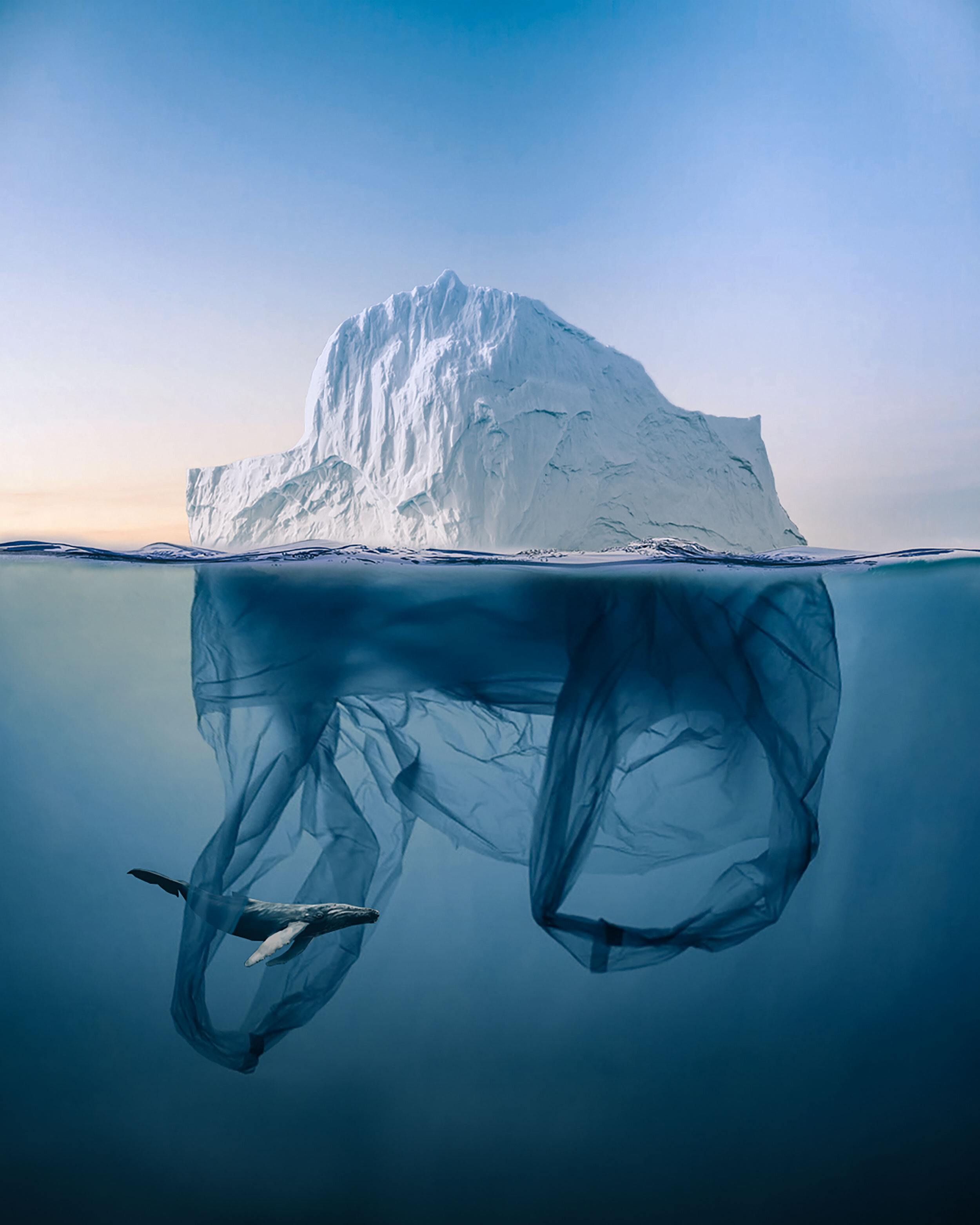 Iceberg-platic-bag.jpg