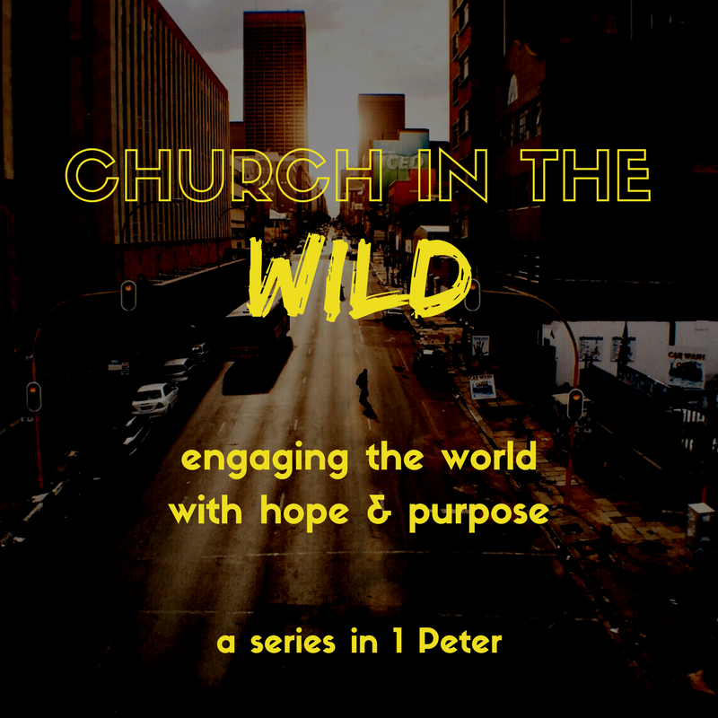 Copy of Church in the Wild IG(1).png