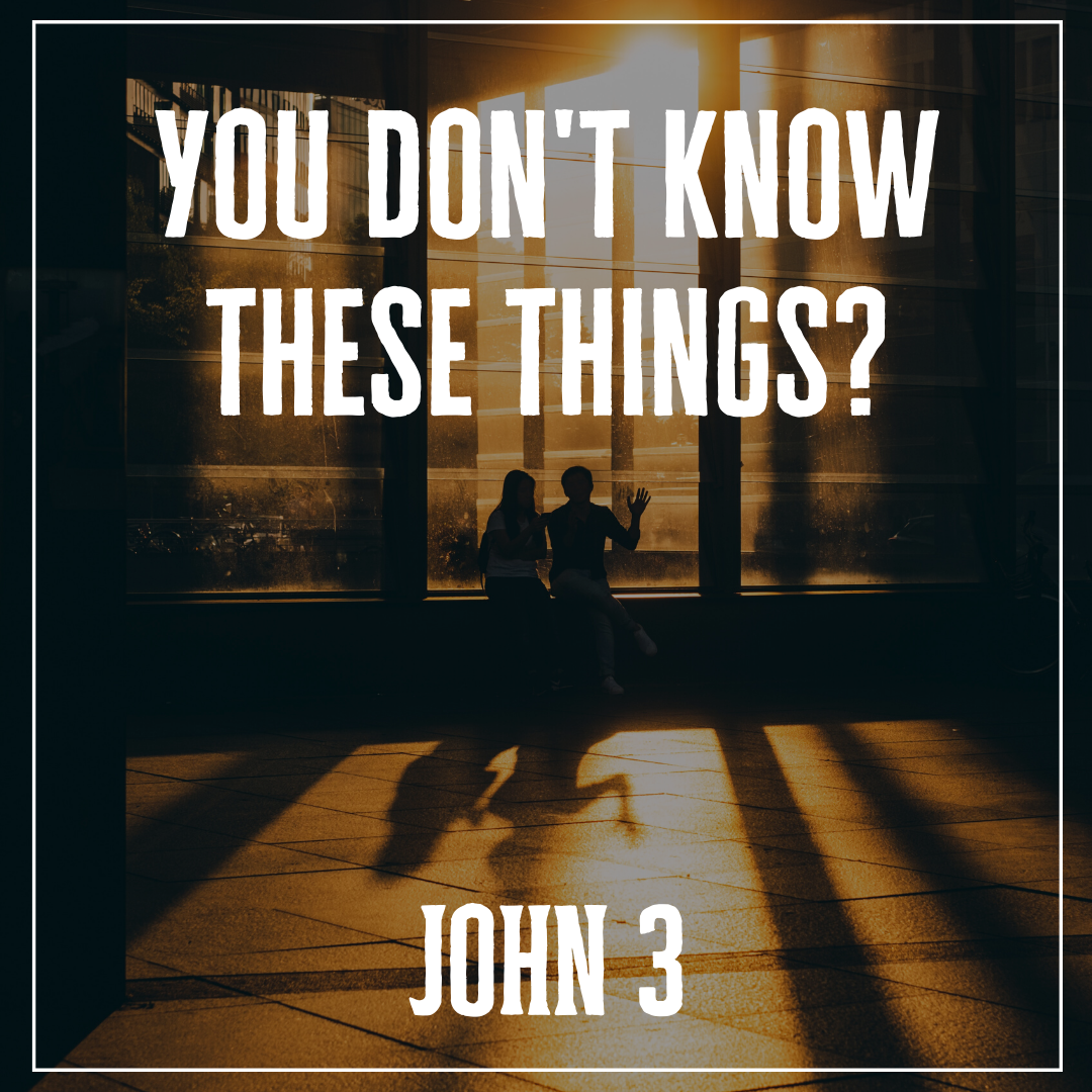 Gospel of John Series(1).png
