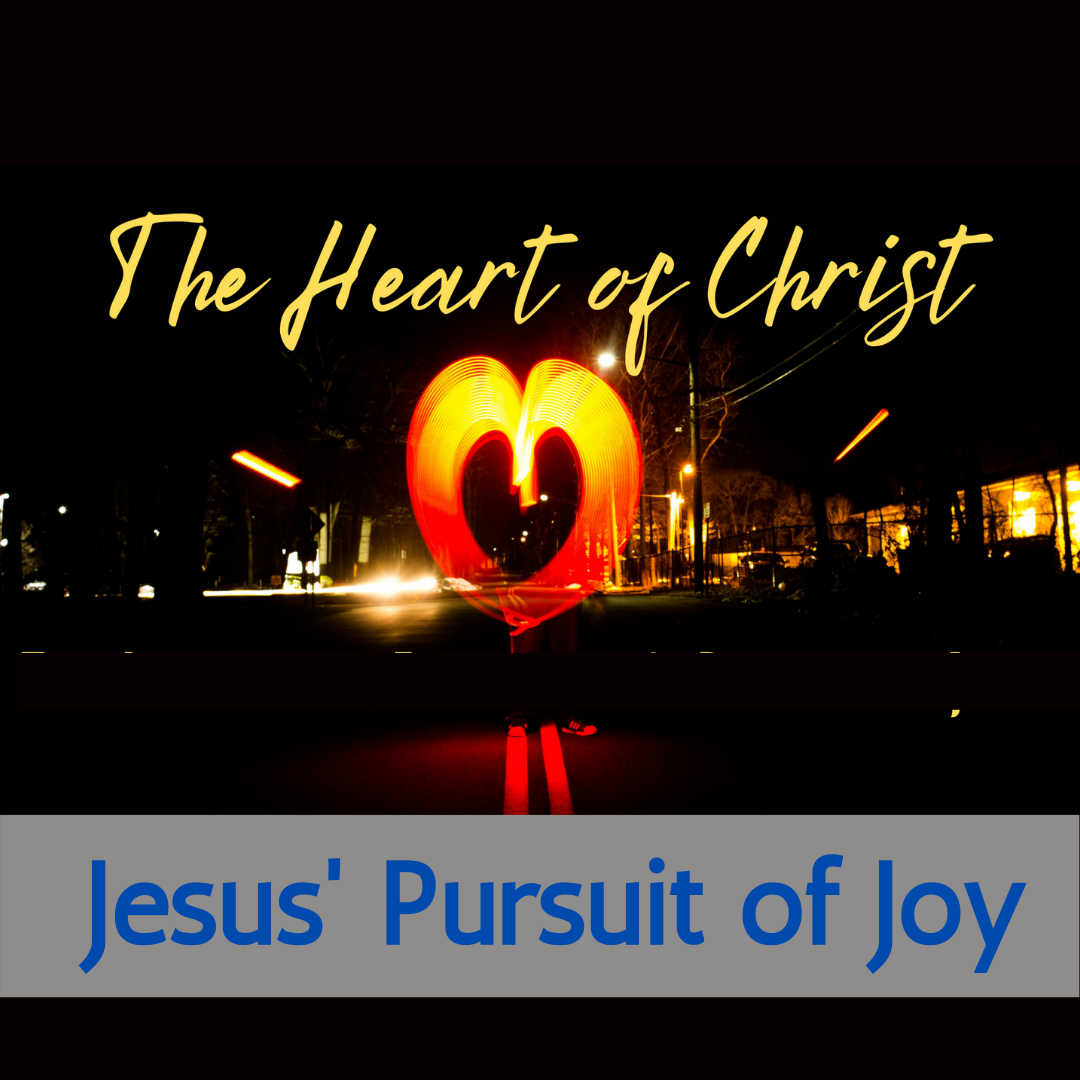 #3: Pursuit of Joy