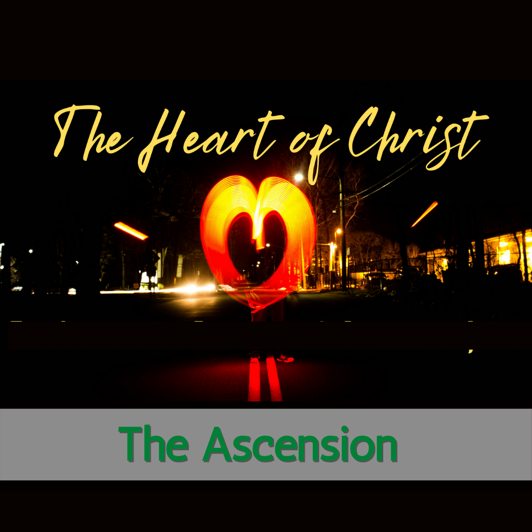#6: The Ascension