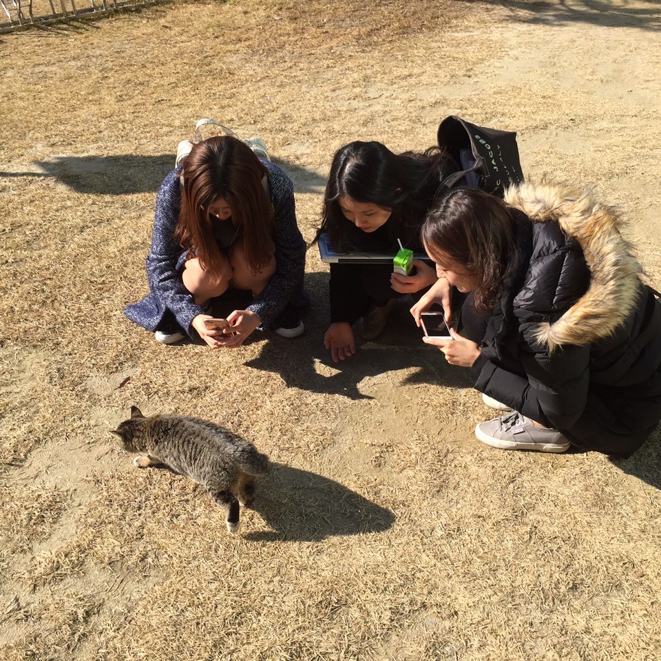 2016.11.29