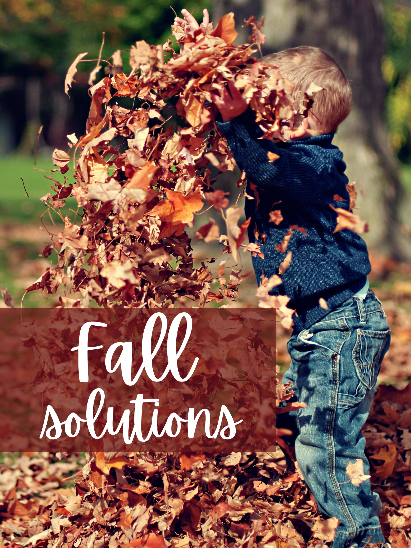 _2025 FALL ISSUE copy 24.png