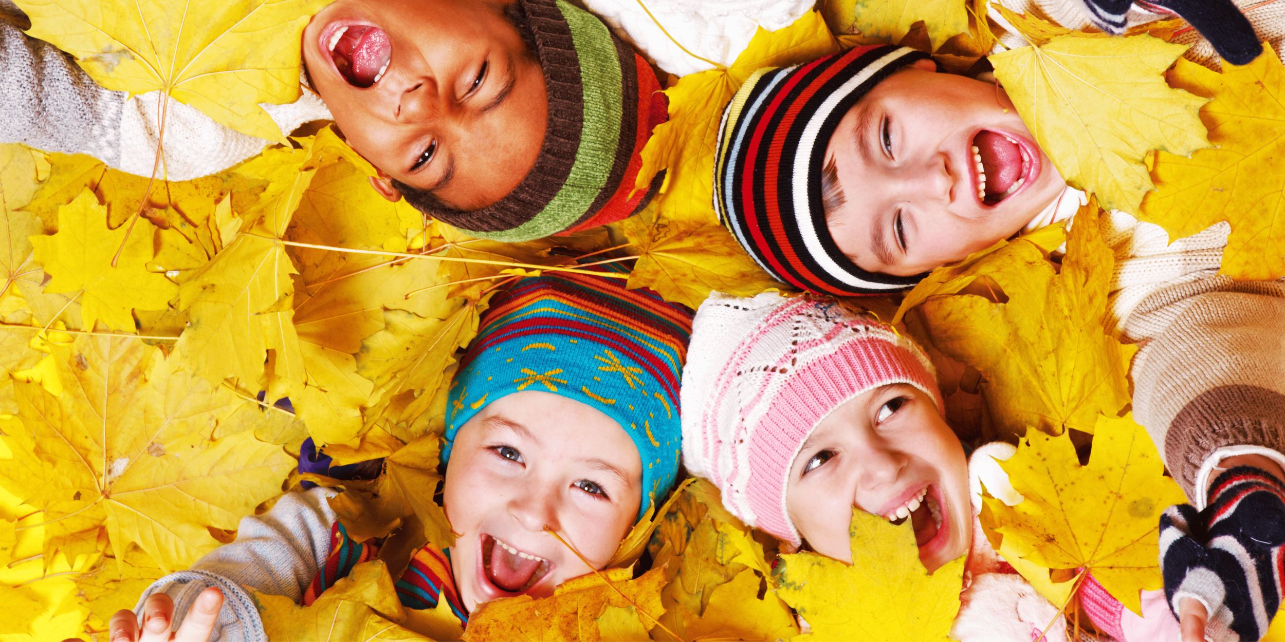 _2025 FALL ISSUE (Medium Banner (US) (Landscape)) copy.png