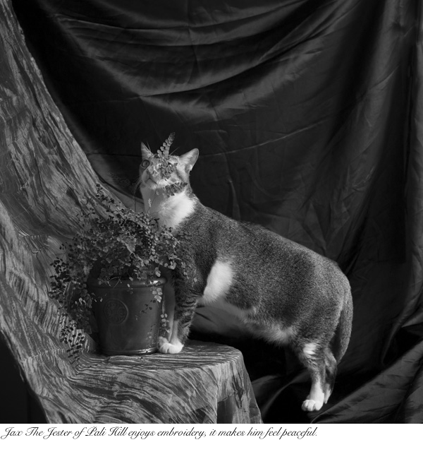 The Lords and Ladies Of Bandra West