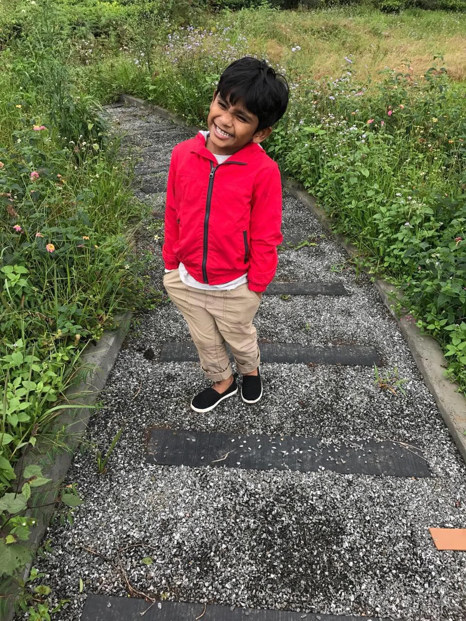 Ved taking a walk in the woods