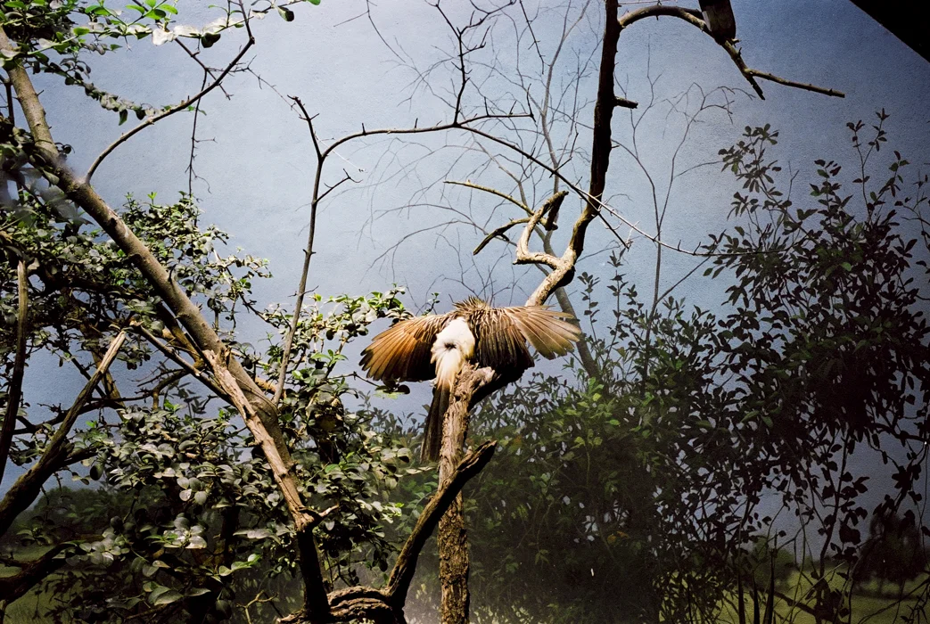 BronxZoo_18042011_NY_0400-Edit.jpg