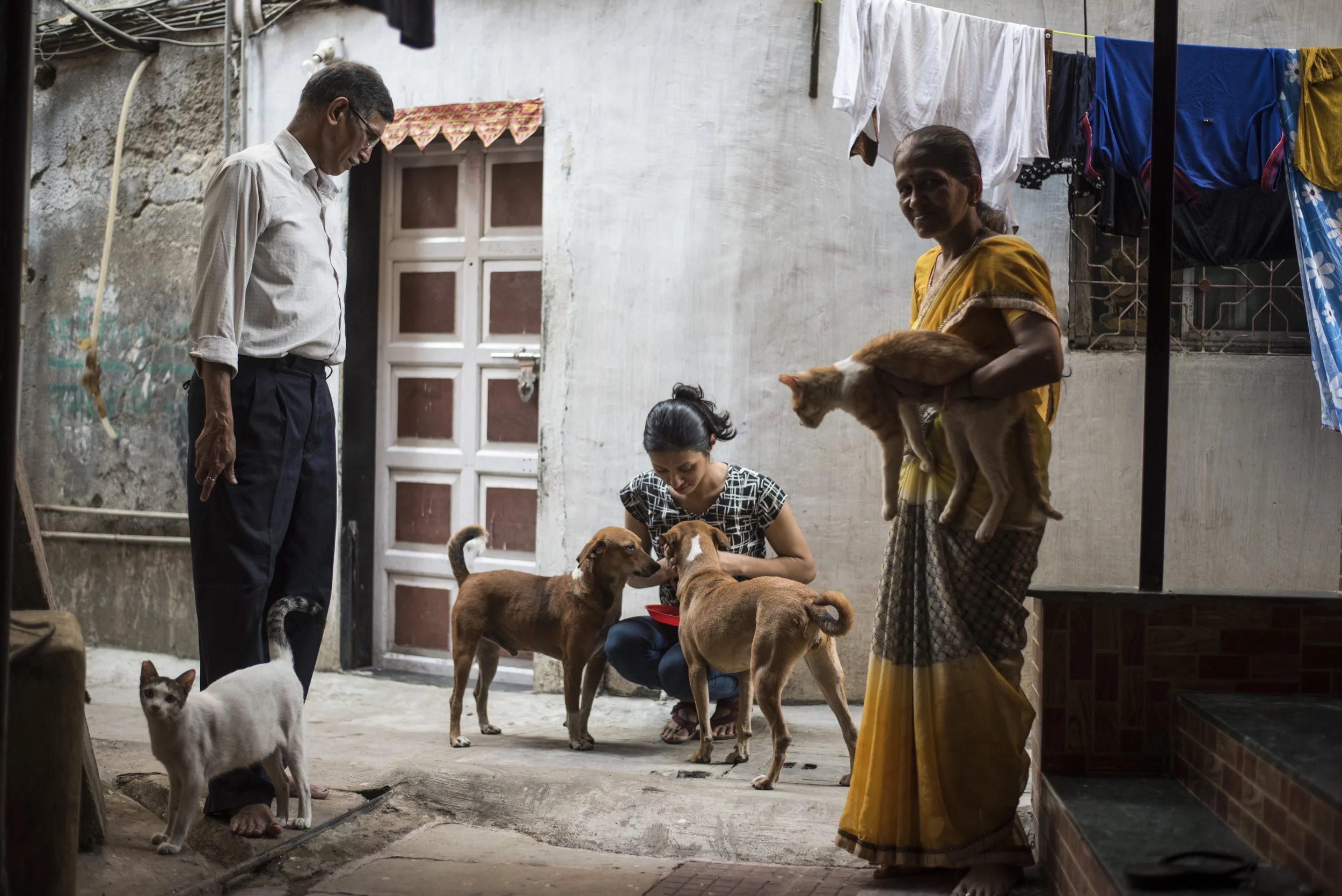 The Shenoys selflessly care for a cat and dog family that live outside their home.