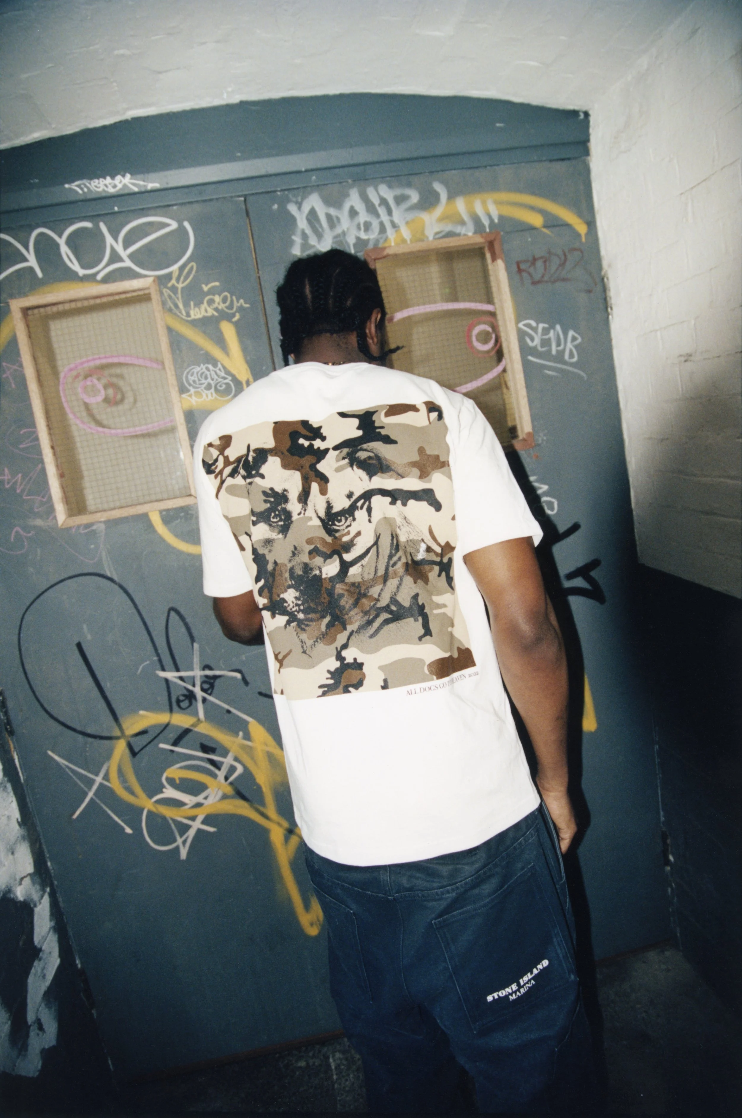 AWAKE LEO2 CROPPED.jpeg