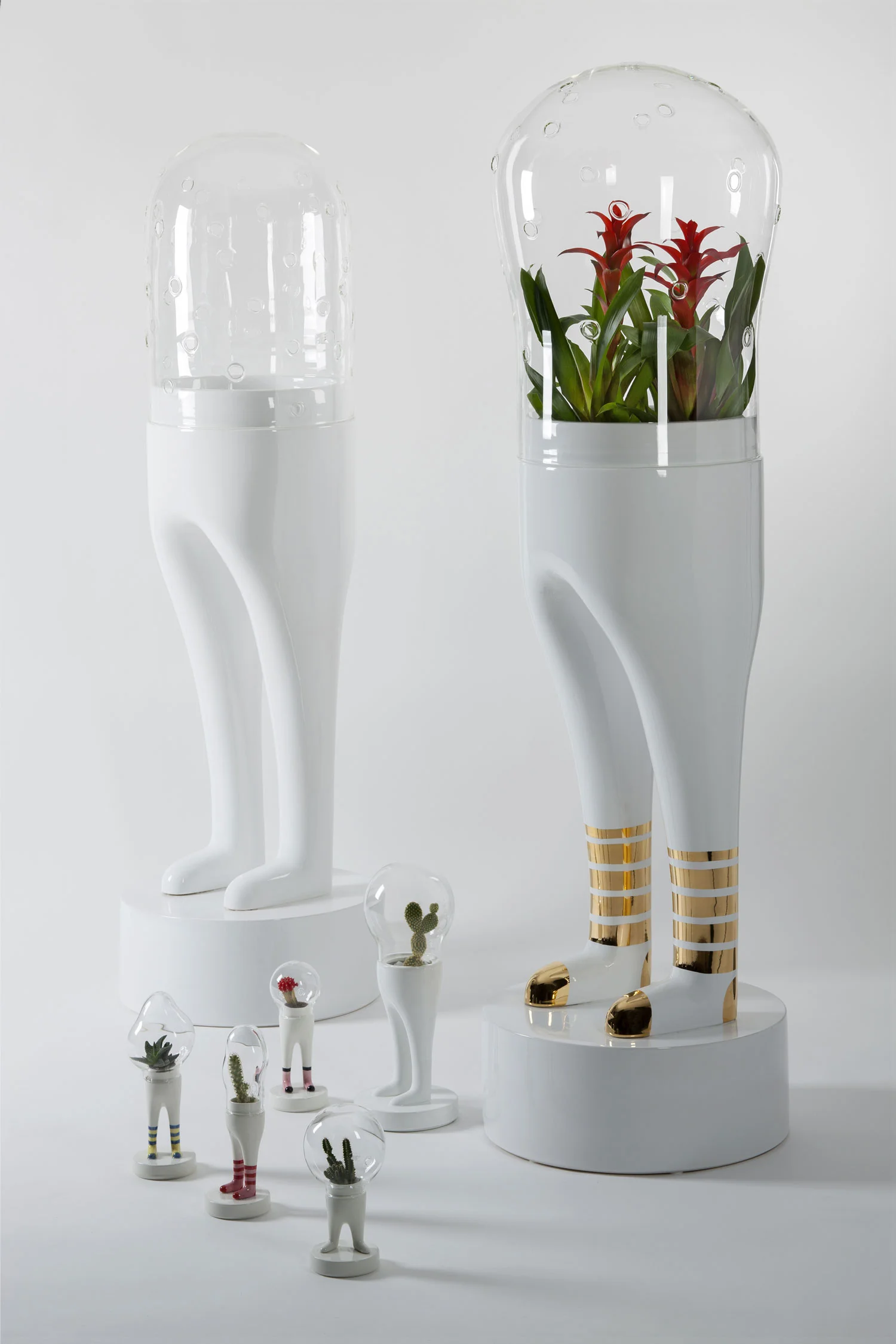  The most of us are 25cm tall but we have some very big brother too...  BUY US HERE  