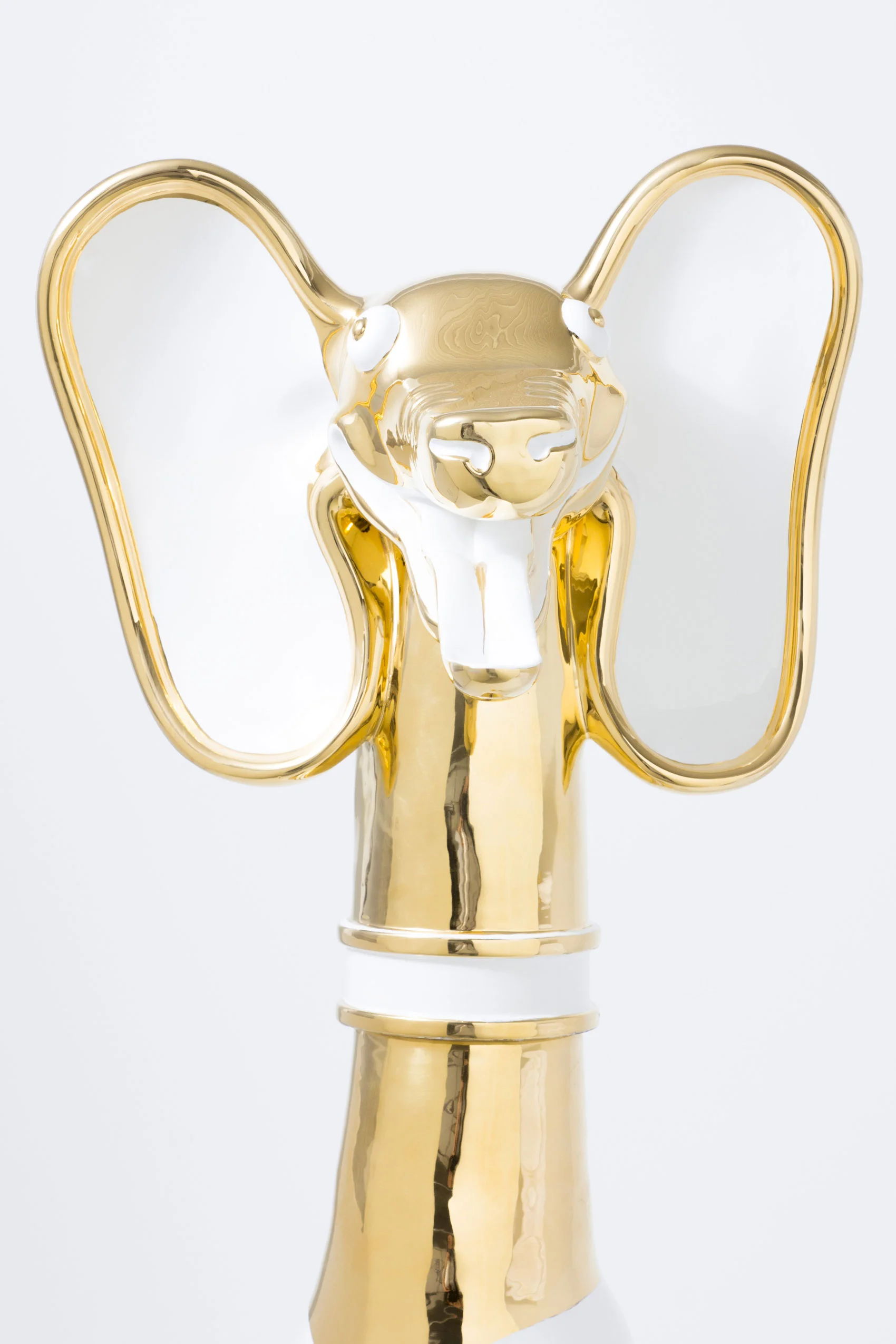  I'm the tallest.... 150cm 