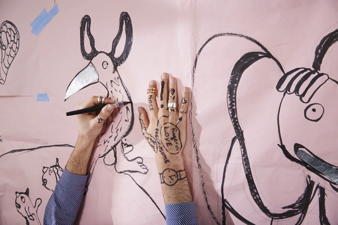  A world of special creatures.... 