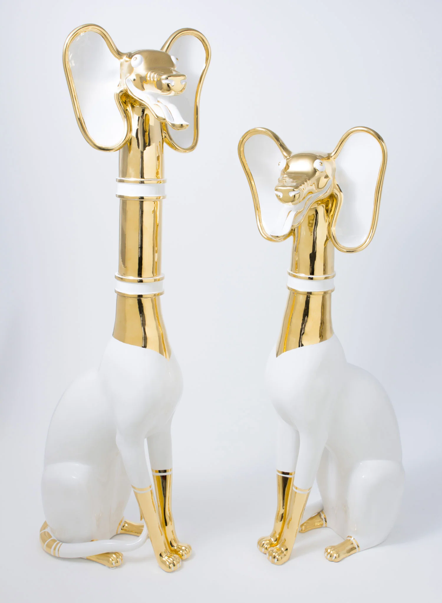  Hello we are Dungo !!&nbsp; 