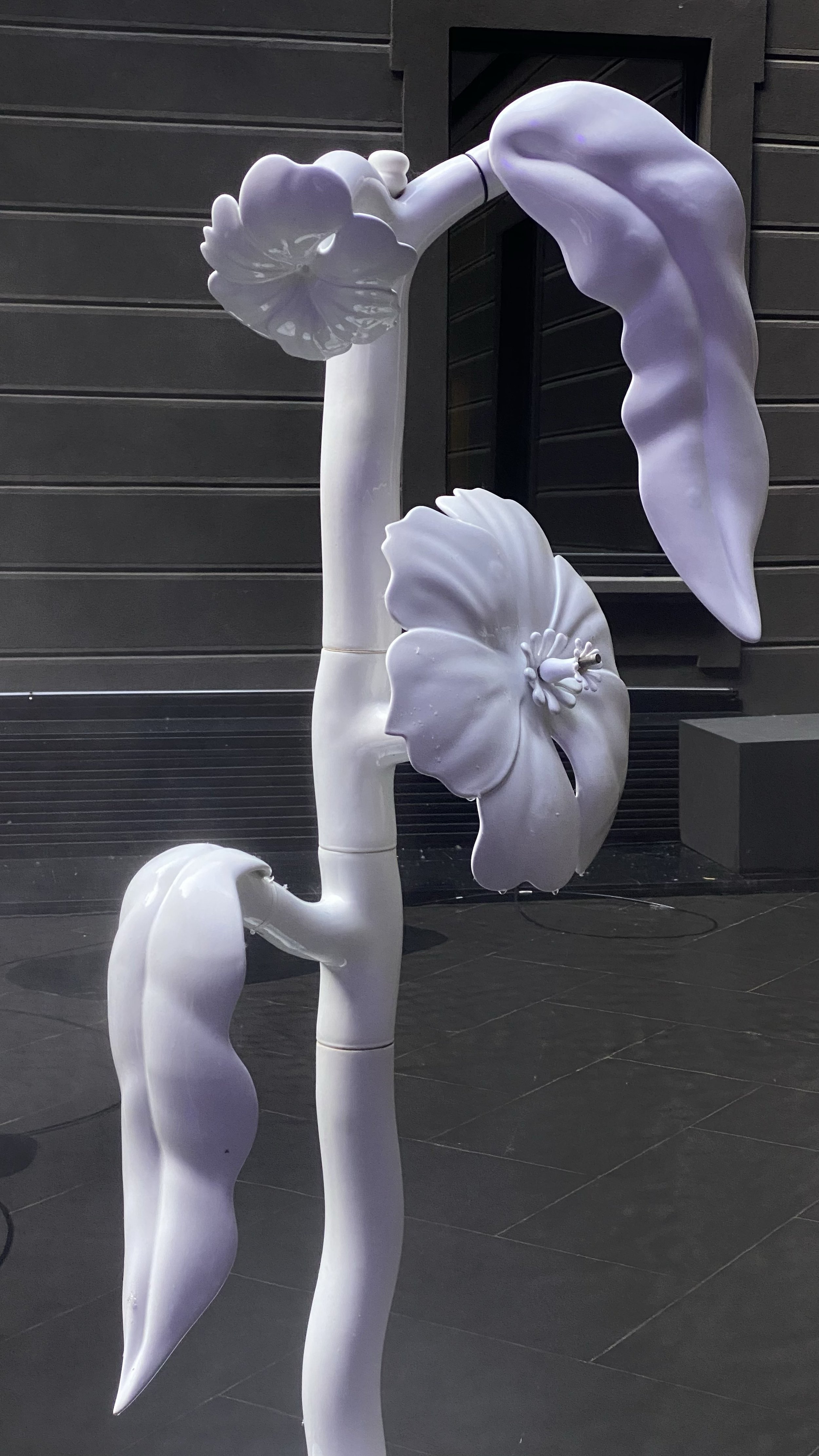 FlorestaFuturistica_StJames_Bosa_MatteoCibic050.jpg
