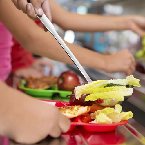Find the Fun in Healthy Eating and Avoid Childhood Obesity