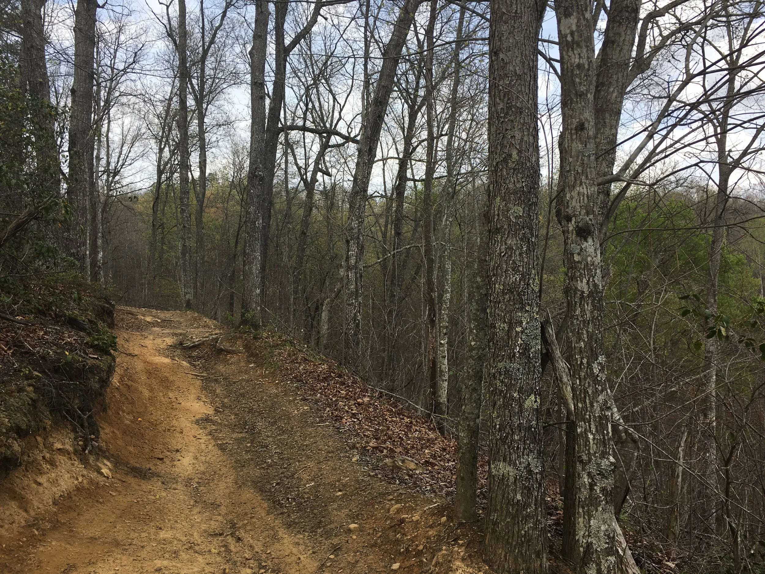 At the top of the climb just south of the Sugar Creek Trailhead with the ridge off in the distance.