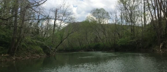 The Red Bird River was very tranquil that morning.