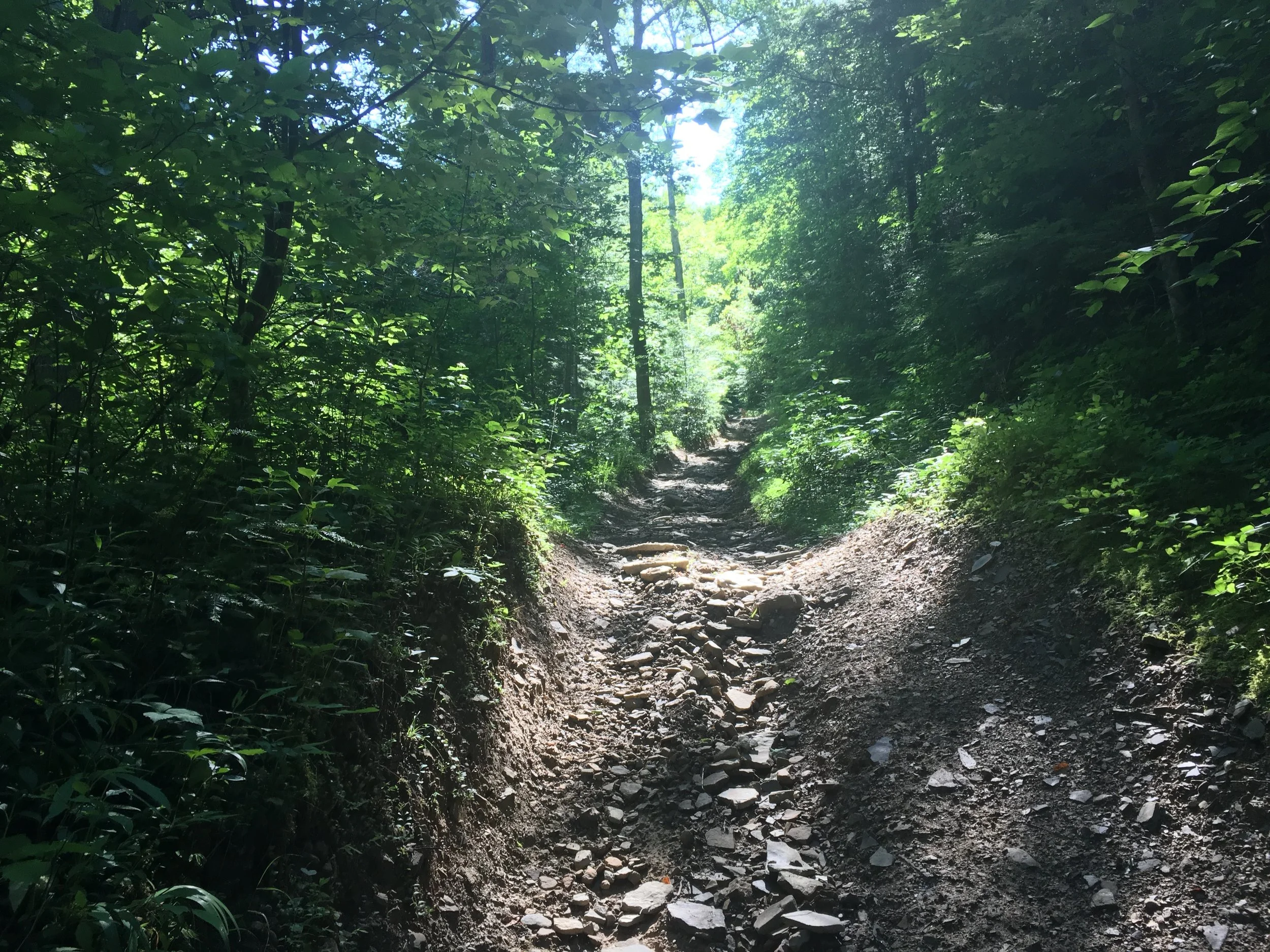YOU GOTTA BE KIDDING ME....The view from the bottom of the first climb.