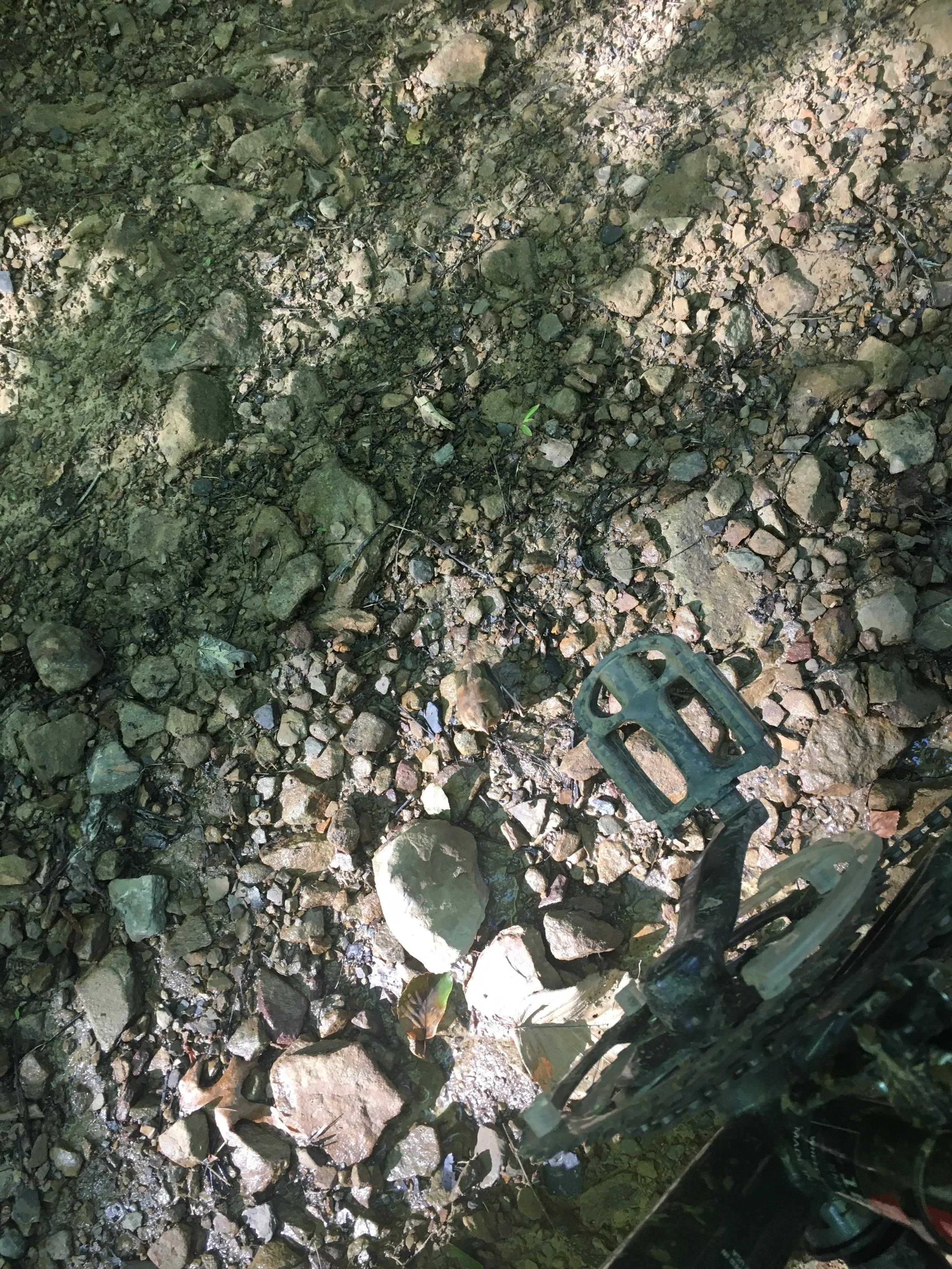 Can you spot the little fella? HINT: Just to the left of the pedal.
