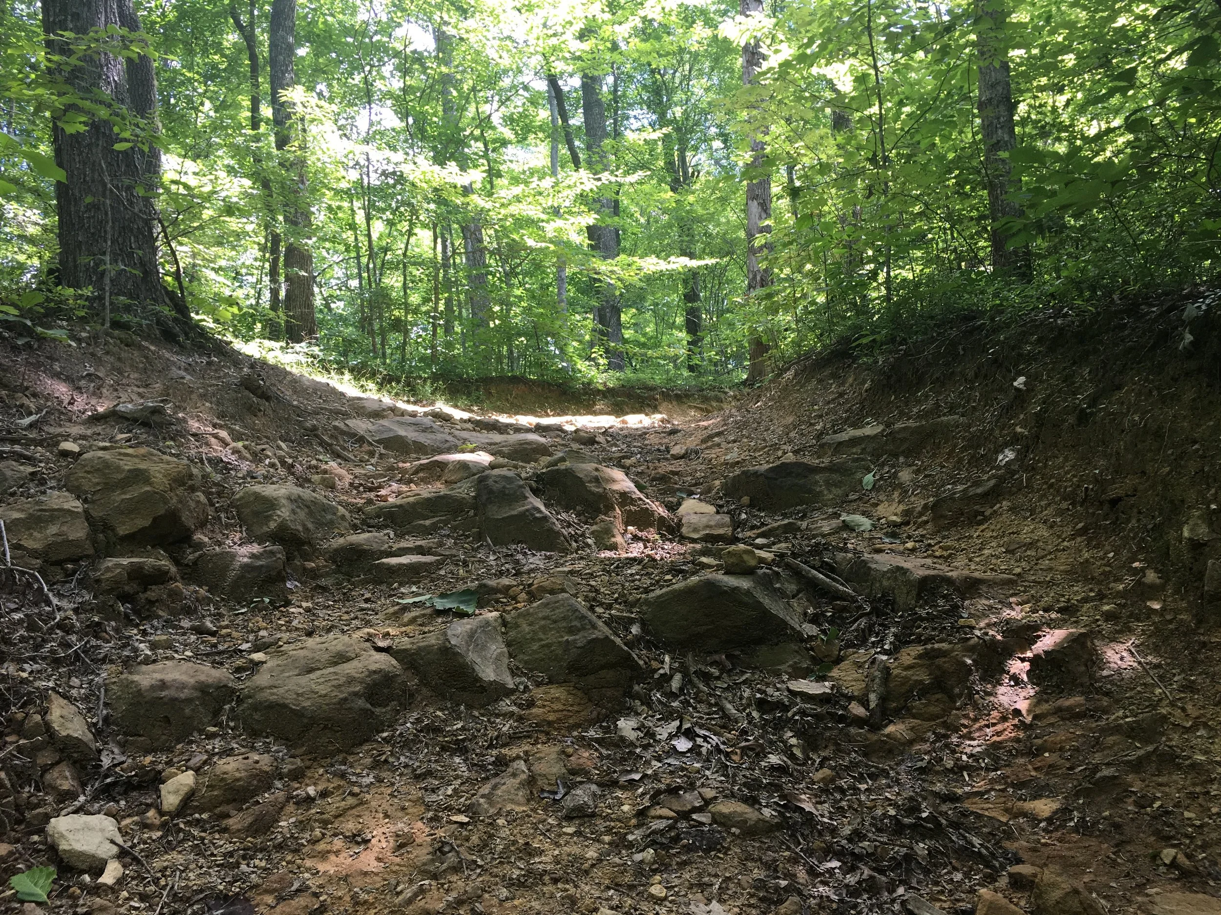 Such technical terrain all over the place!