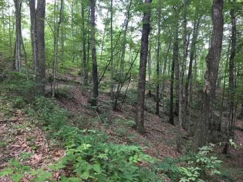 The trail flows along the hillside as it approaches the ridge line here.