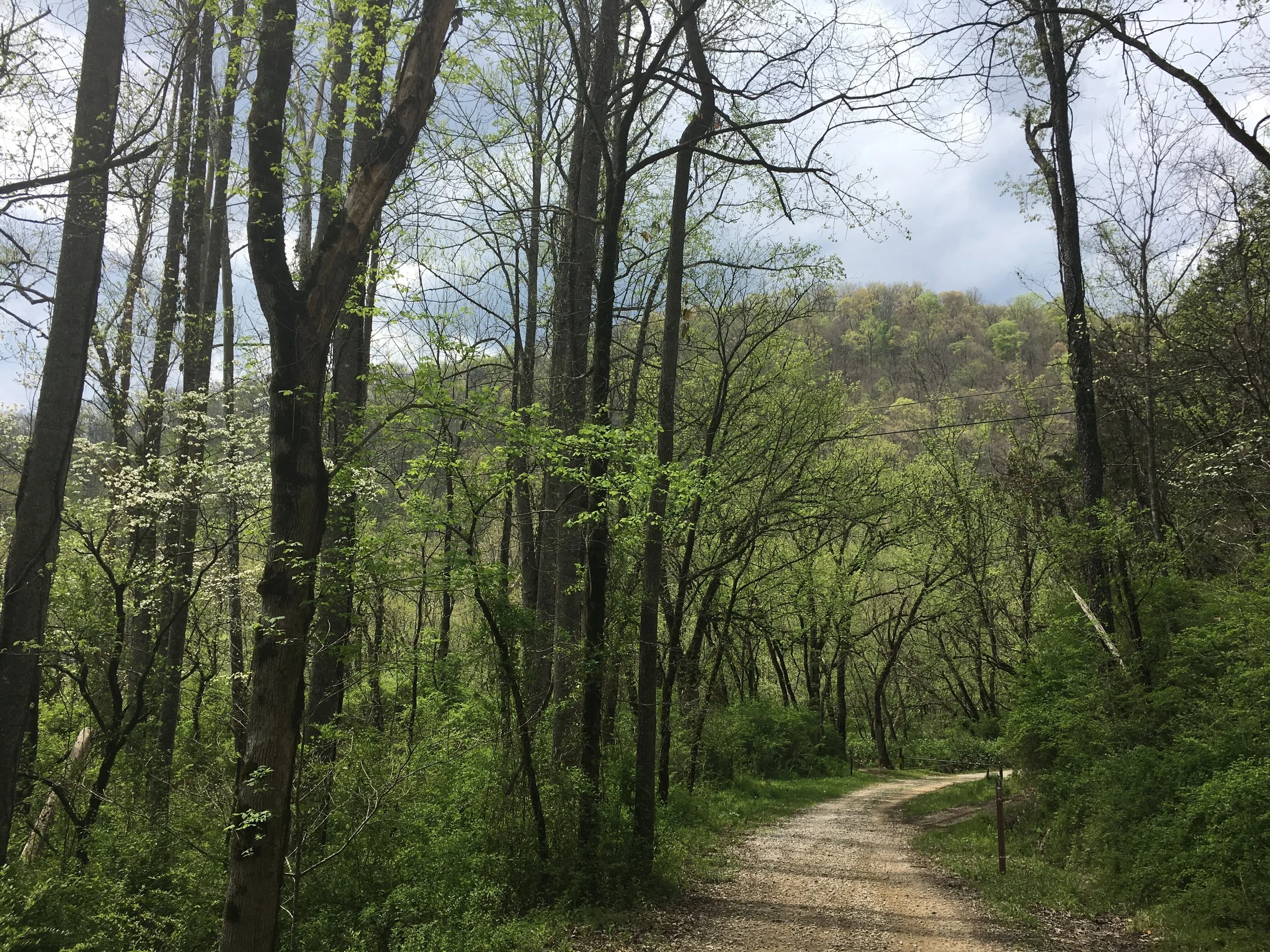 The soft gravel road gives you a hint at what lies ahead with a beautiful view of the climb ahead. What you can't see from down here are the obstacles that lie along the way.