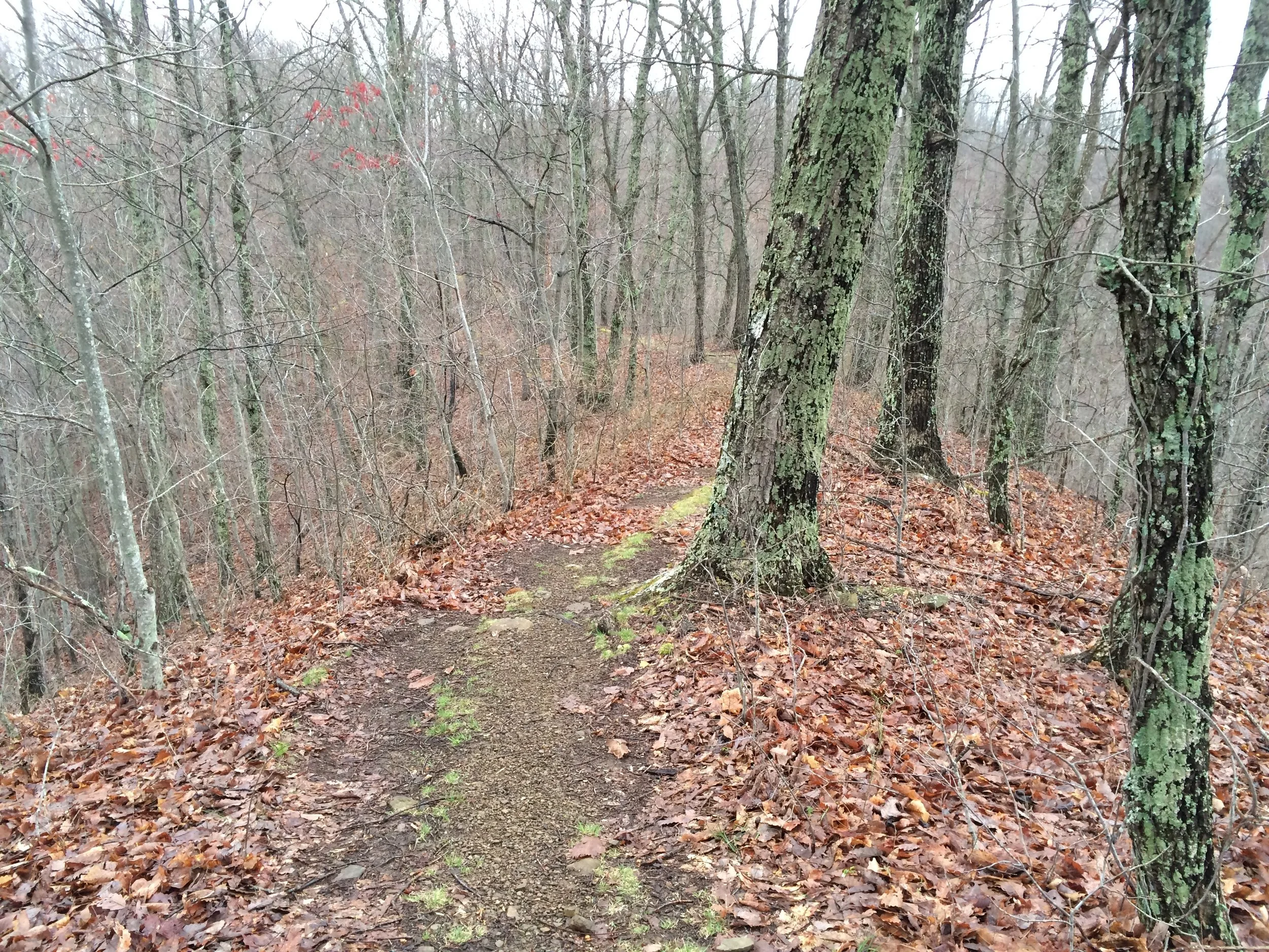 Some of the technical terrain early and late in the race!