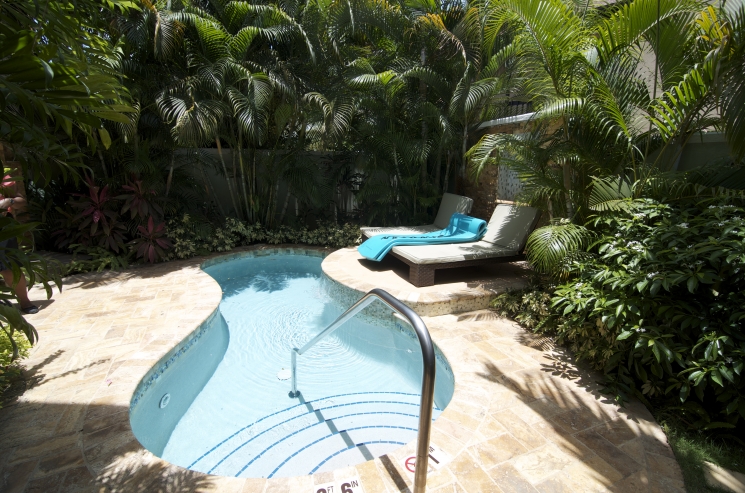 plunge-pools-available-in-suites-at-sandals-negril-E287R1537_745_493.jpg