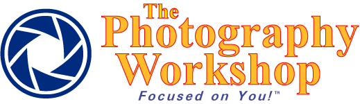 The Photography Workshop