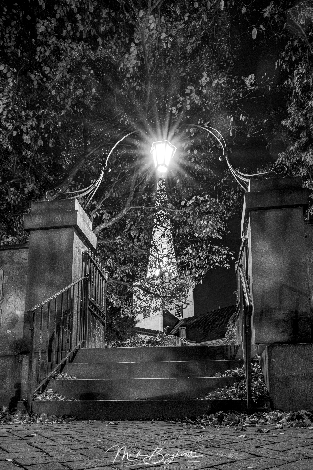 20251017-0089-HDR.png