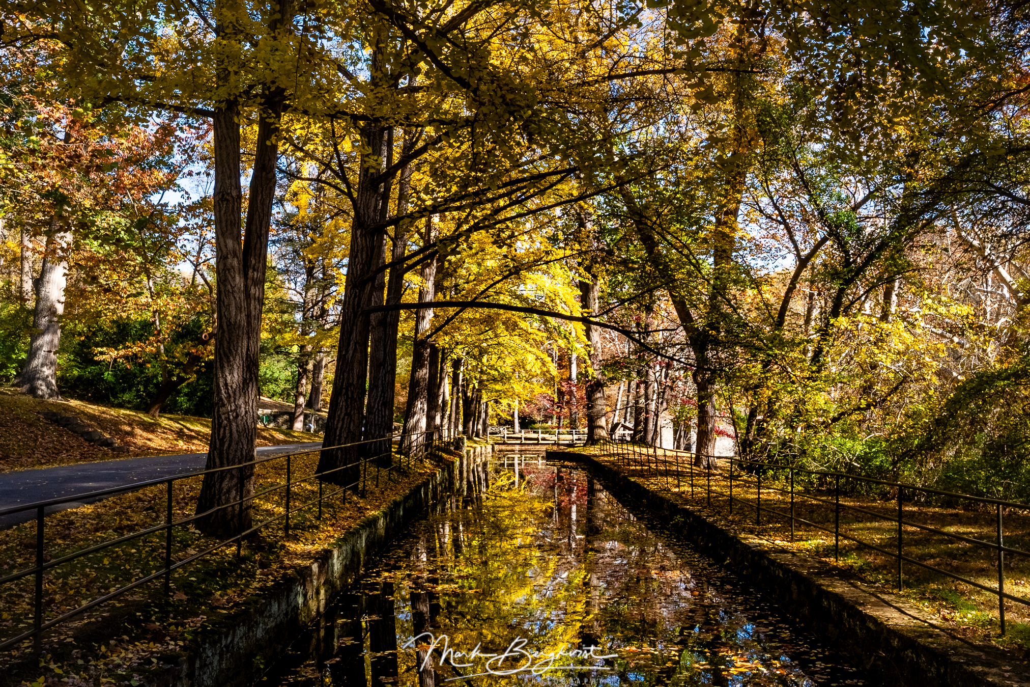 20251102-0092-HDR.png