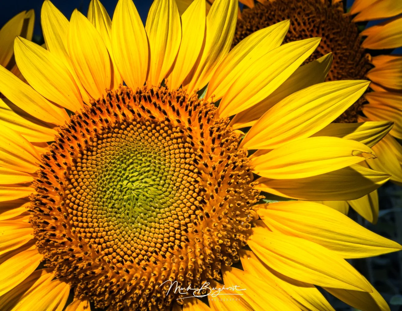 20120902-2403.jpg
