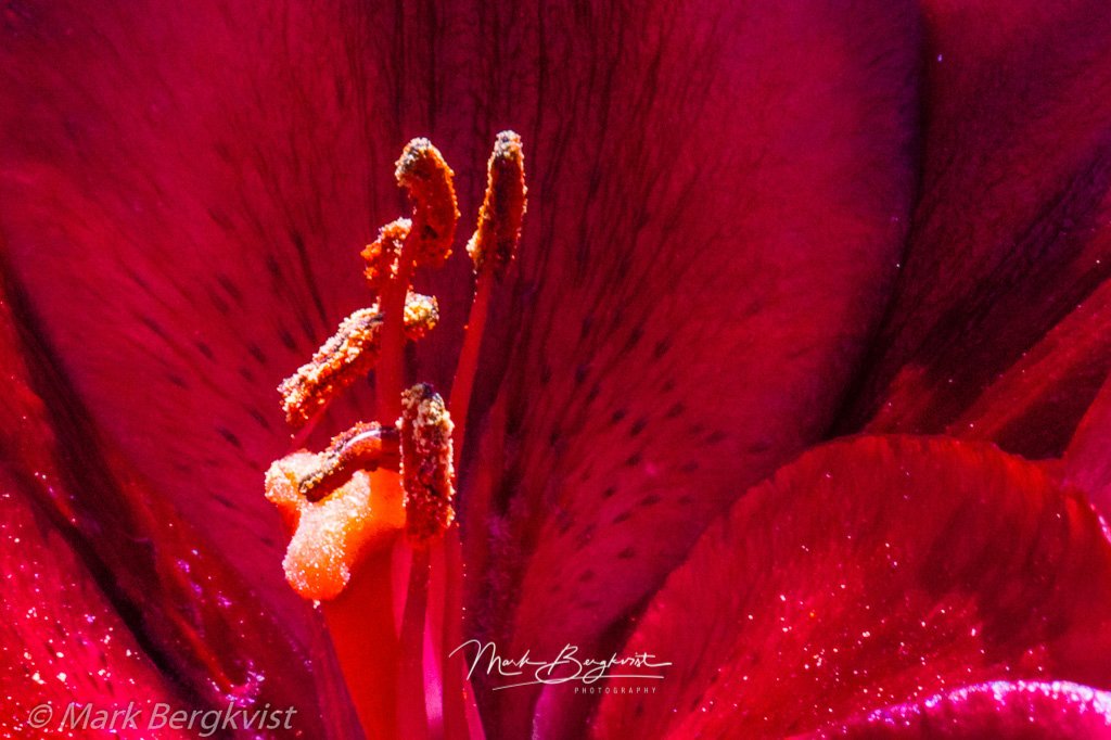 20120616-1759.jpg