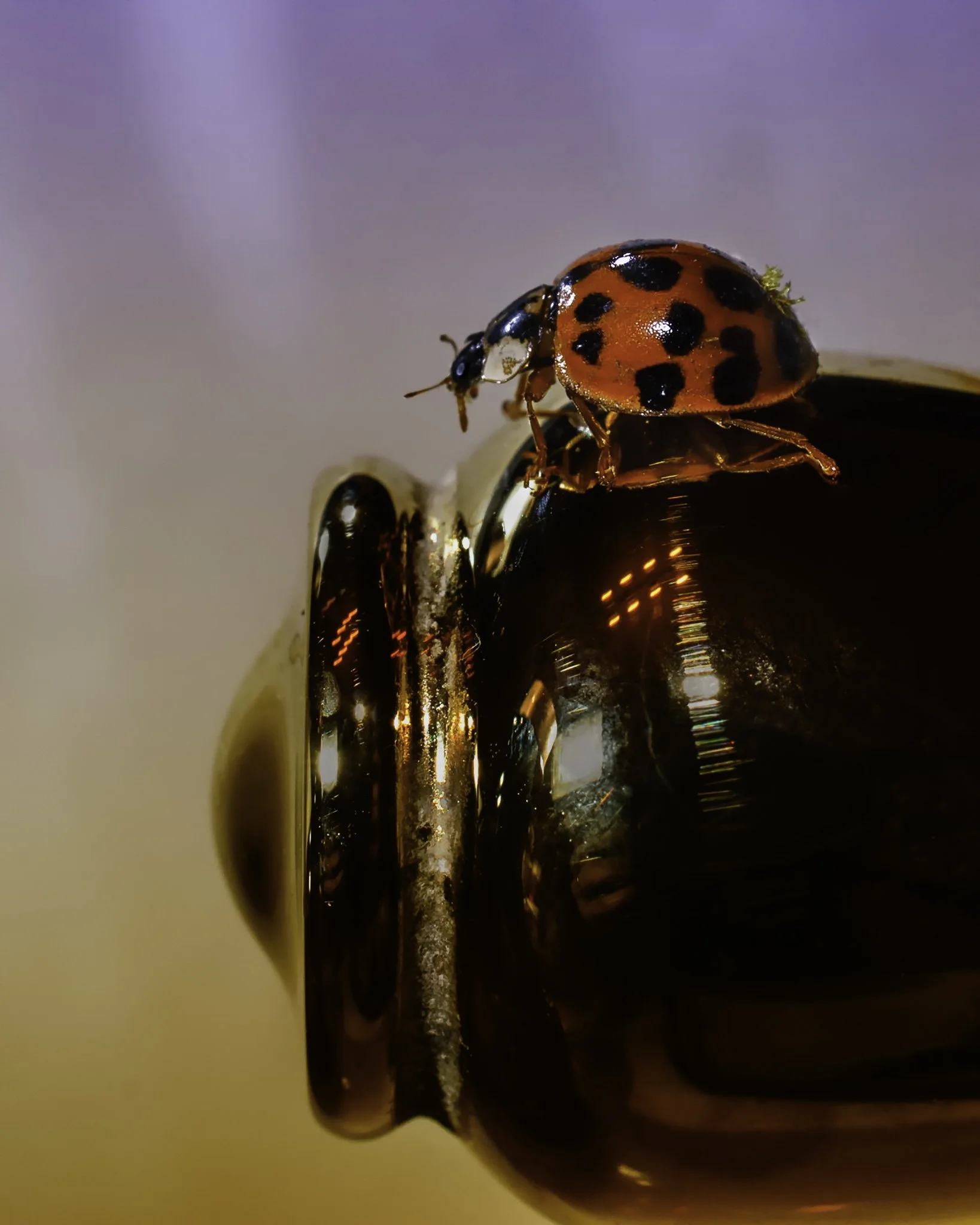 20130302-0001 - Copy.jpg